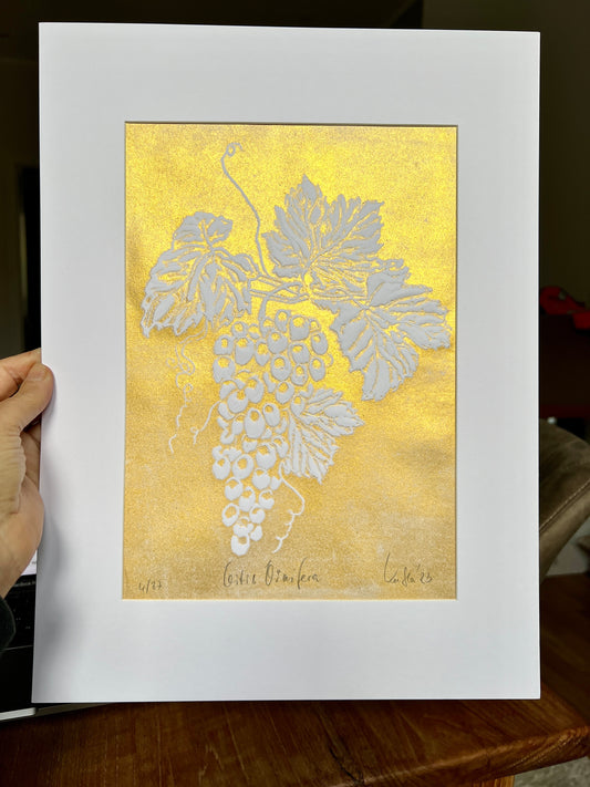 x WEINREBE Originaldruckgrafik Gold-Reliefdruck im Passepartout 30x40 cm