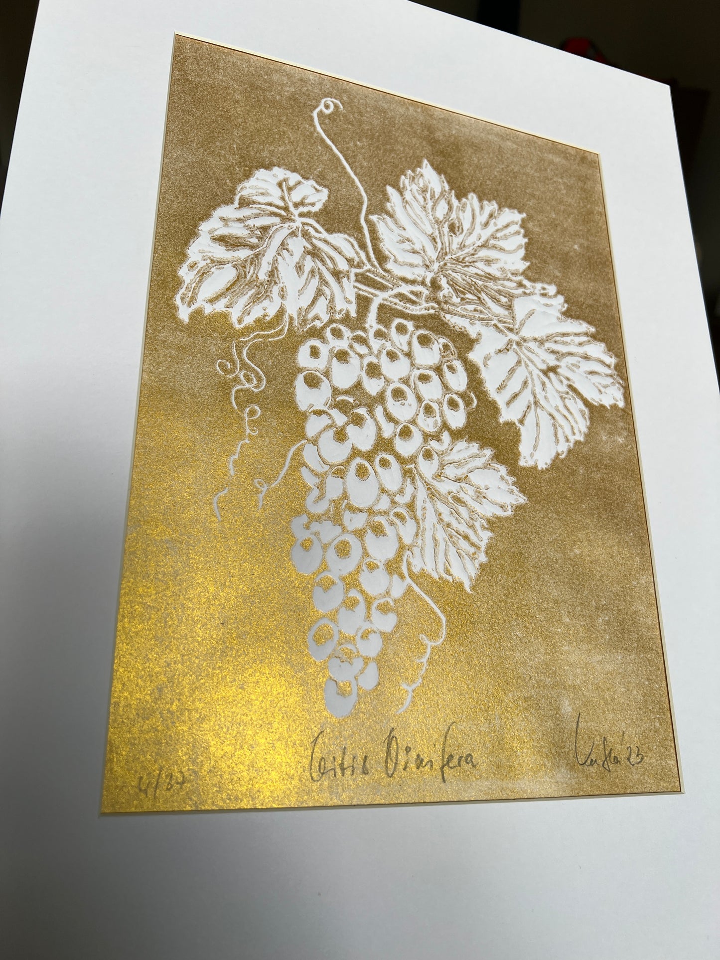 x WEINREBE Originaldruckgrafik Gold-Reliefdruck im Passepartout 30x40 cm