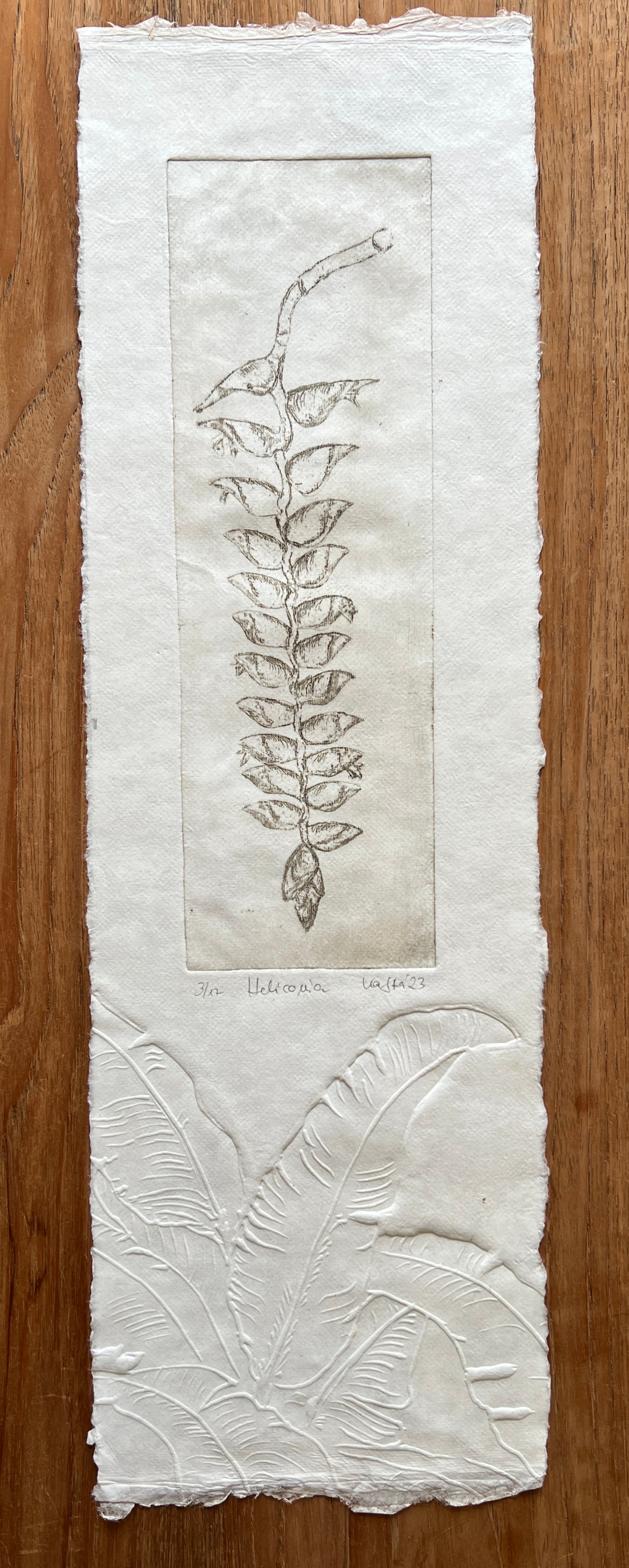 HELIKONIA Originaldruckgrafik Radierung mit Prägung 20x70 cm