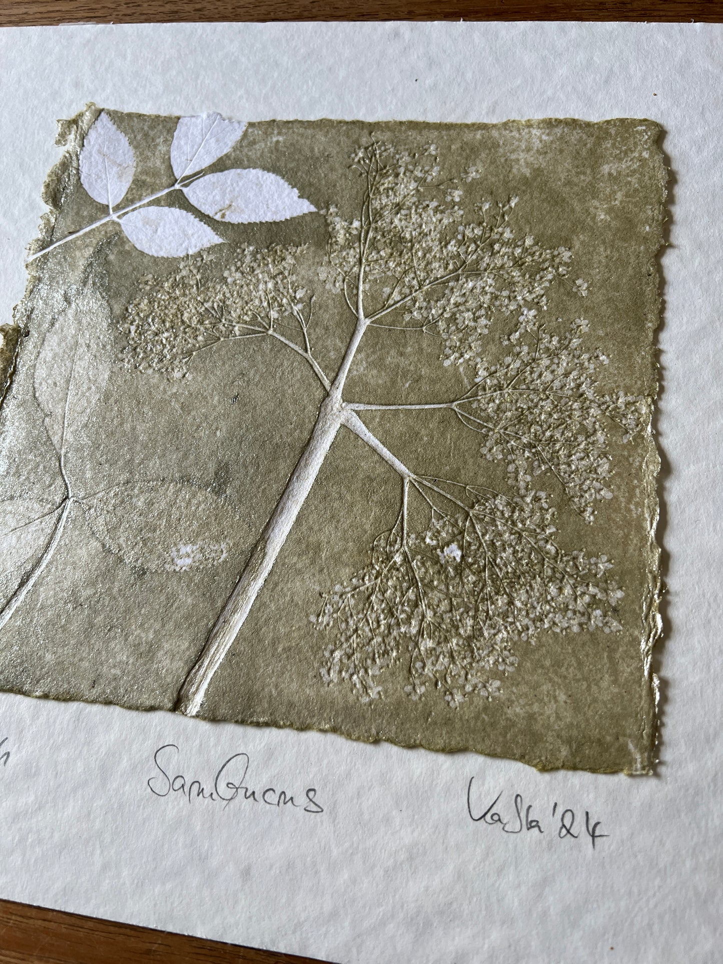 HOLUNDER  Originaldruckgrafik Monotypie Reliefdruck im Rahmen 30x30 cm mattgold