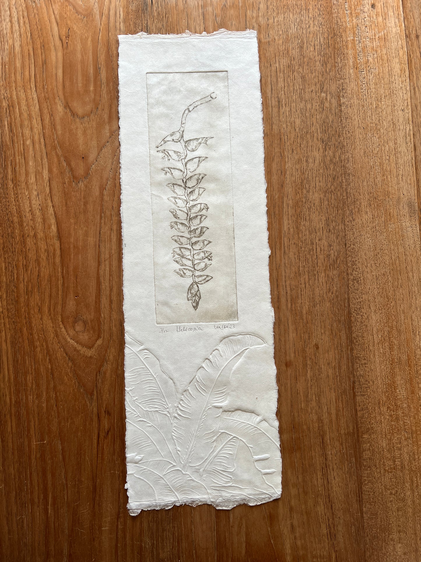 HELIKONIA Originaldruckgrafik Radierung mit Prägung 20x70 cm