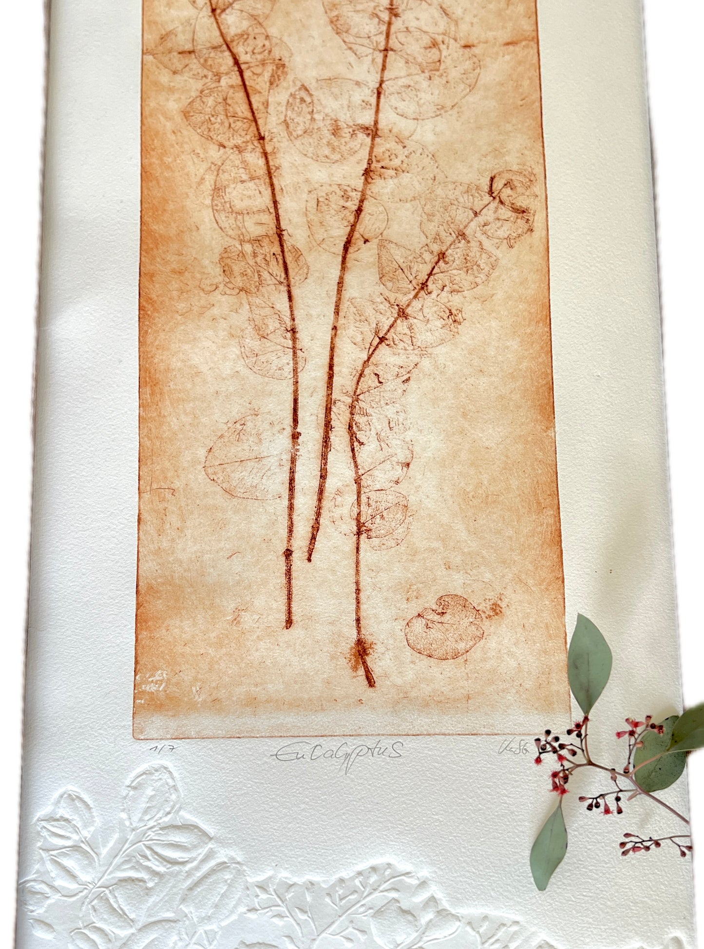 EUKALYPTUS Originaldruckgrafik Radierung Vernis mou mit Prägung, im Rahmen 35x75 cm