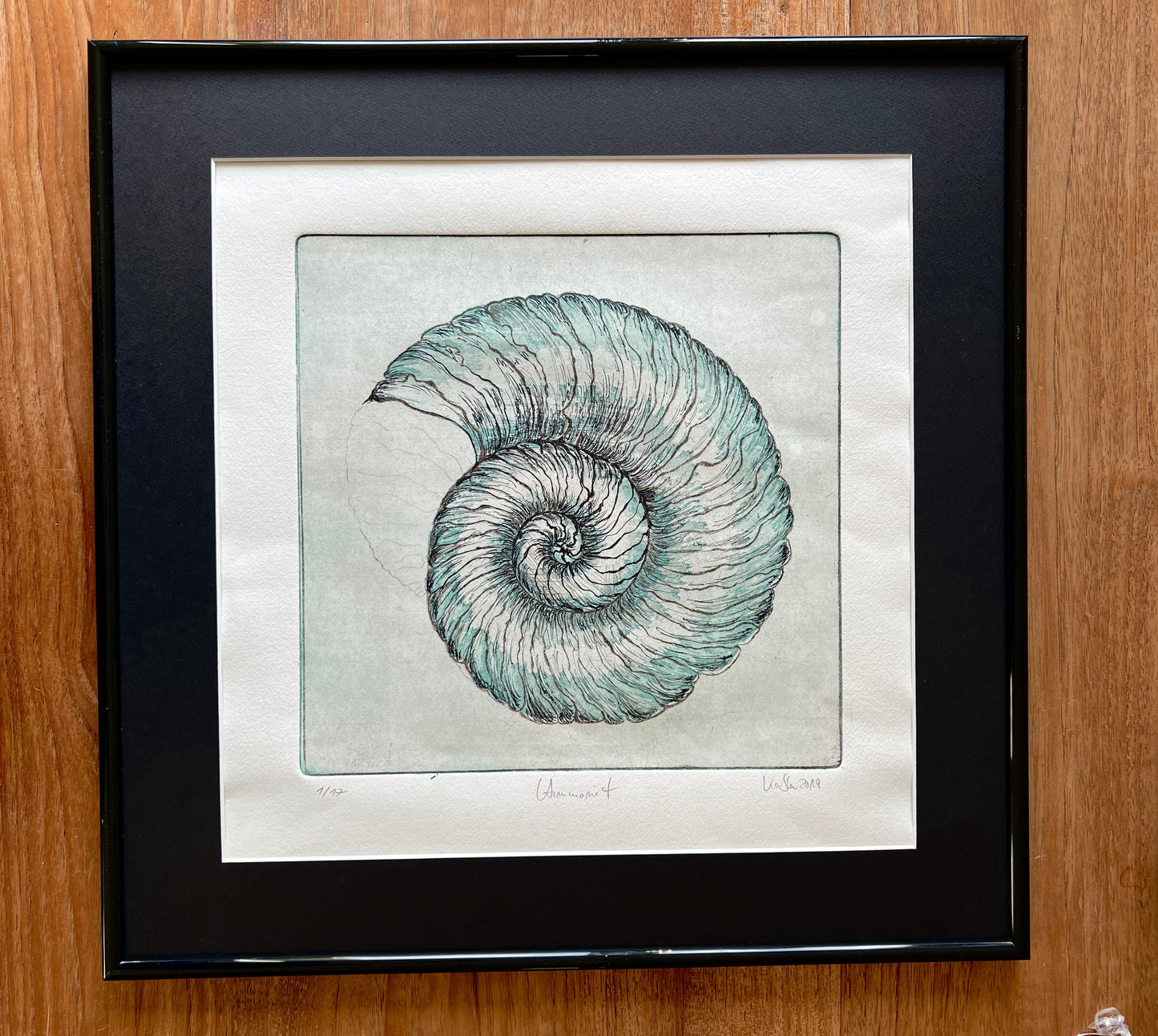 _AMMONIT Original print graphic etching aquatint 50x50 cm in frame with passepartout