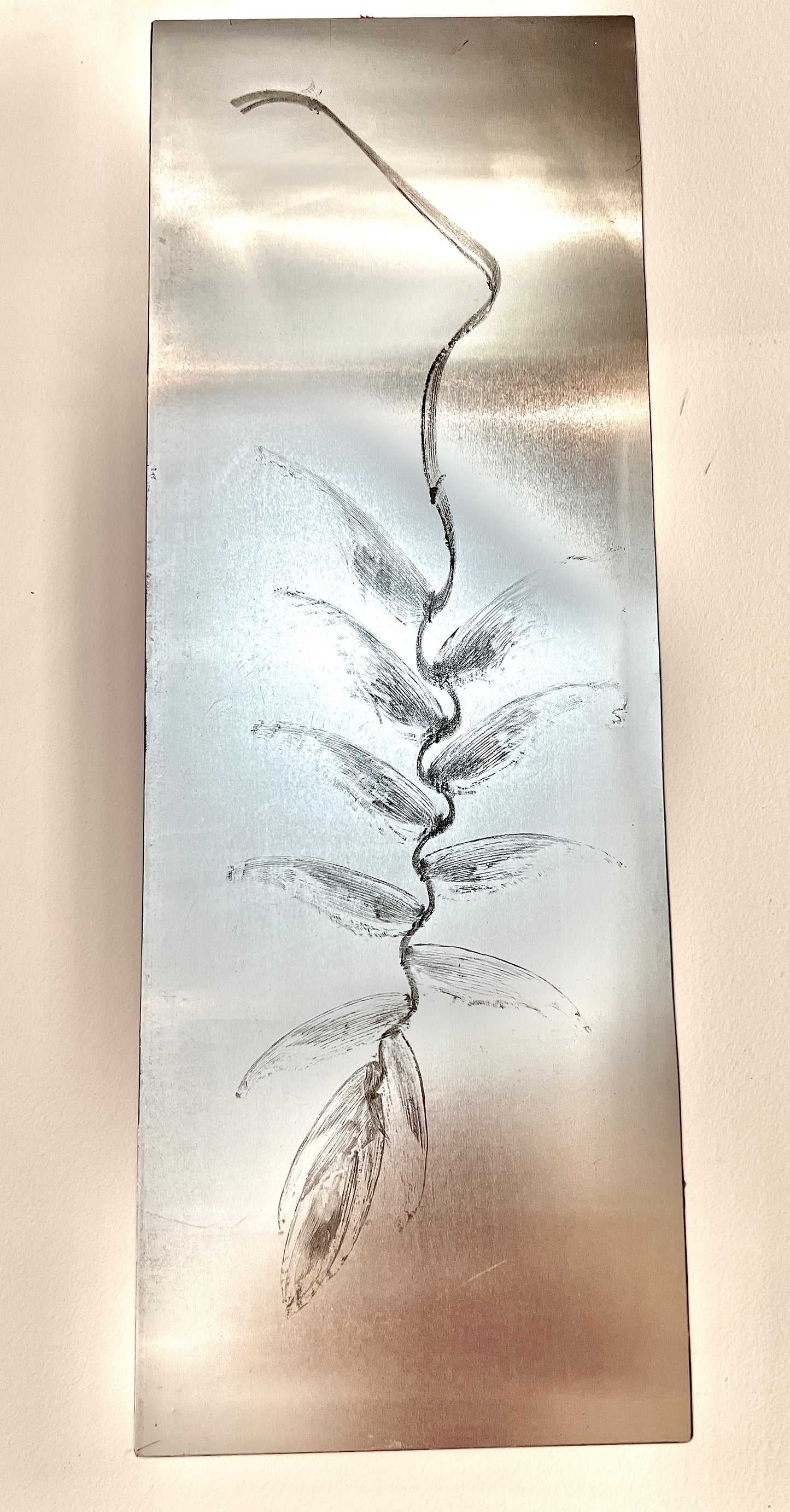 HELICONIA Originaldruckgrafik Radierung Vernis mou im Rahmen 35x100 cm mit zwei Blindprägungen