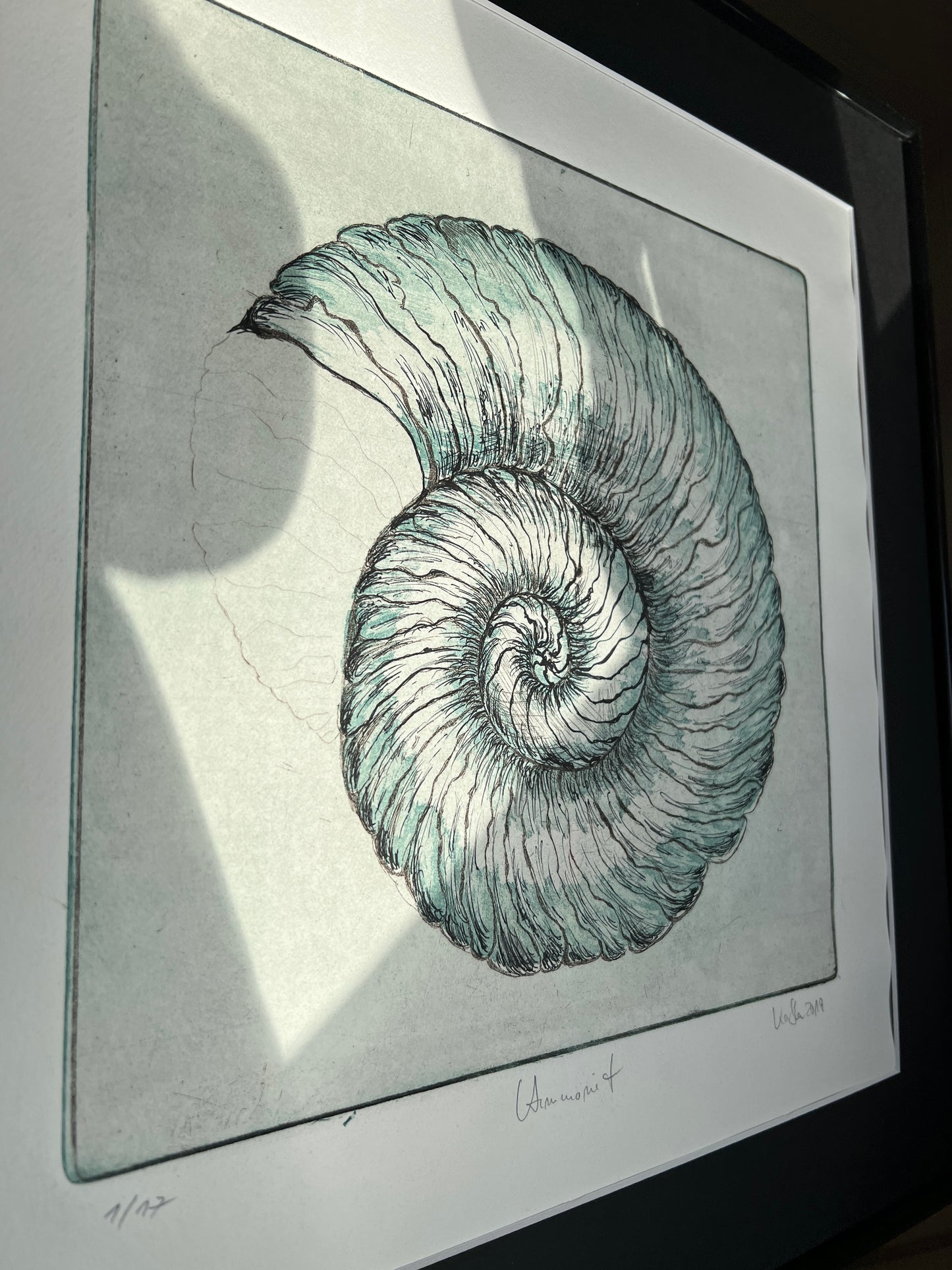 _AMMONIT Original print graphic etching aquatint 50x50 cm in frame with passepartout