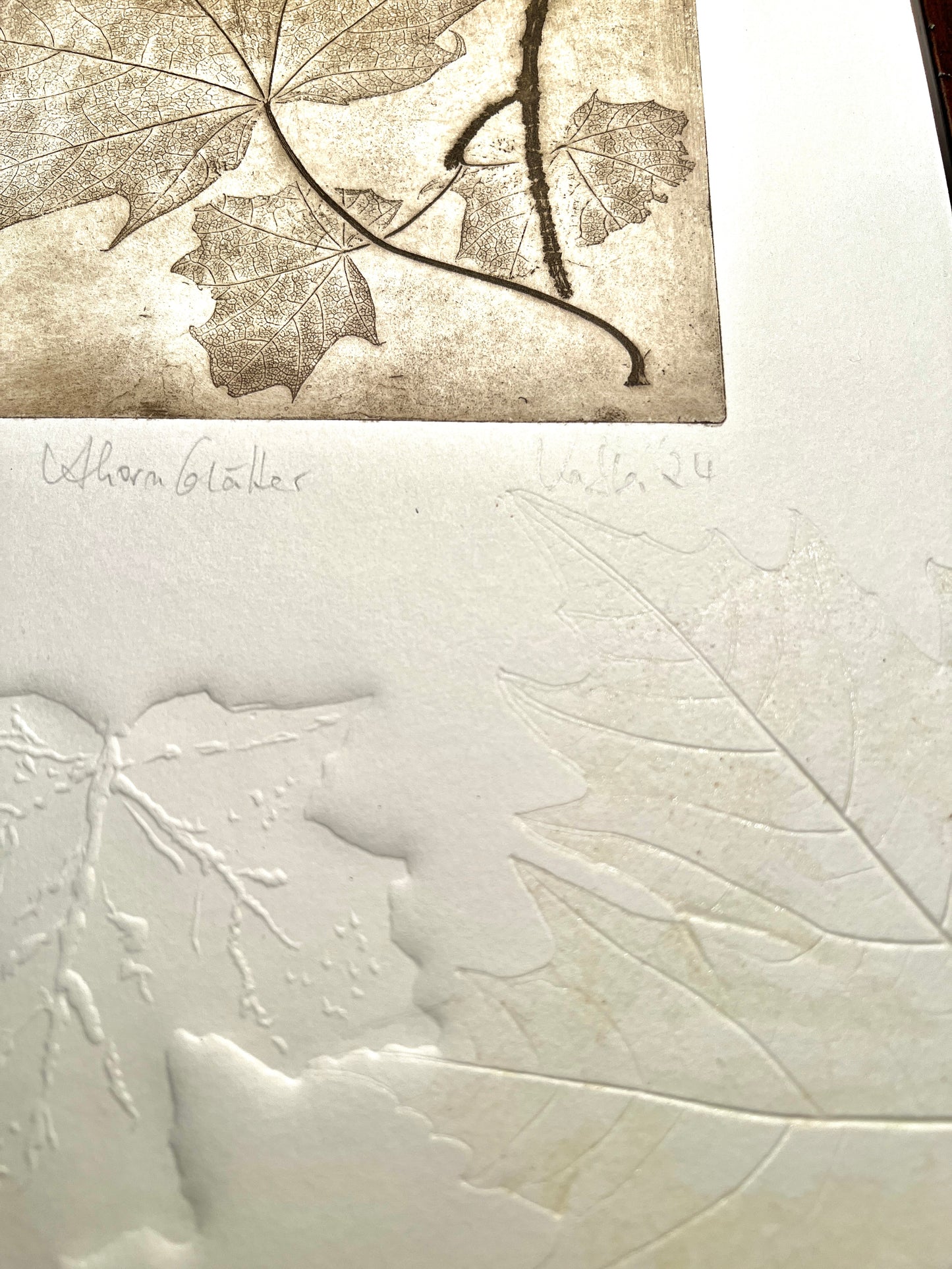 AHORN Originaldruckgrafik Radierung Vernis mou mit Prägungen 30x40 cm