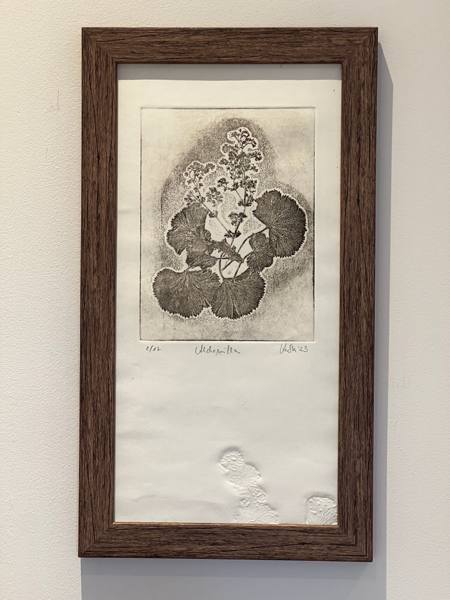 FRAUENMANTEL Originaldruckgrafik Radierung Vernis mou mit Prägung im Rahmen 20x40 cm