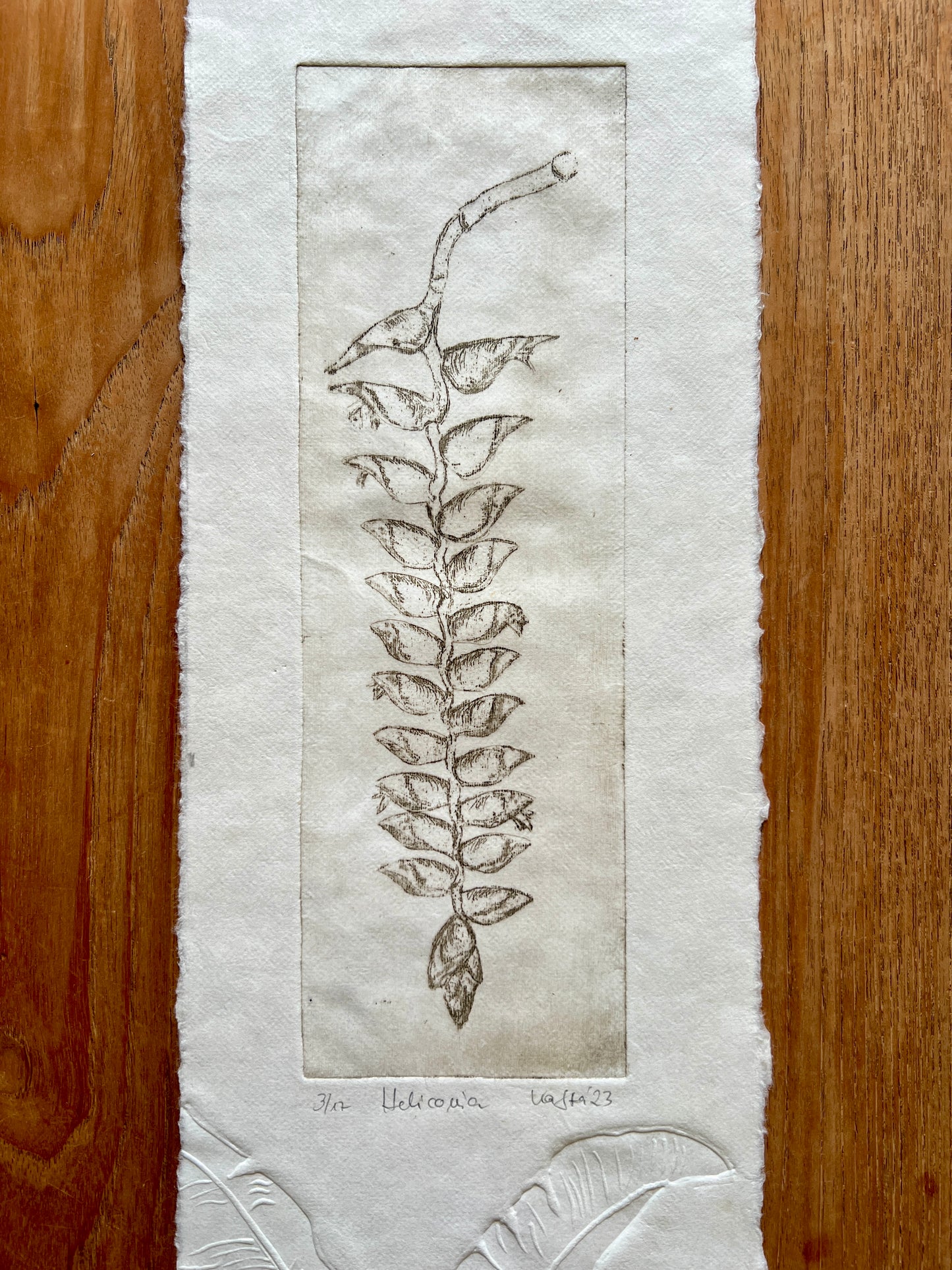 HELIKONIA Originaldruckgrafik Radierung mit Prägung 20x70 cm