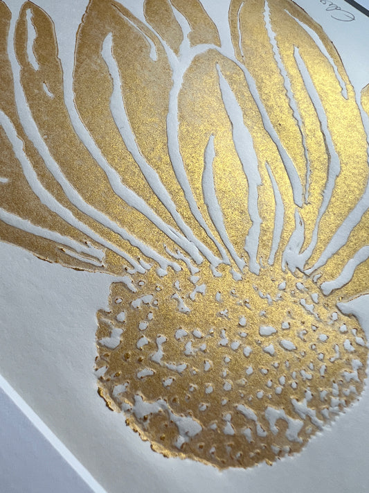 x ECHINACEA Originaldruckgrafik Gold-Reliefdruck im Passepartout 30x30 cm