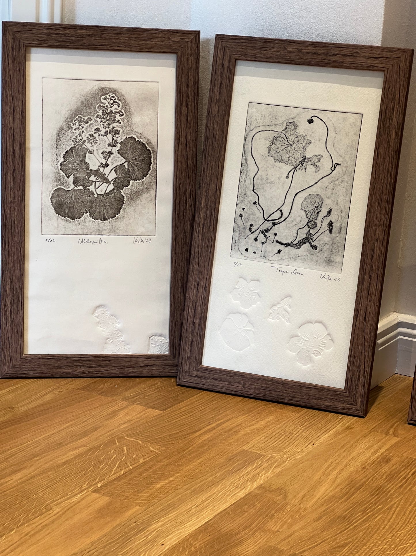 KAPUZINERKRESSE Origialdruckgrafik Radierung Vernis mou mit Prägung im Rahmen 20x40 cm