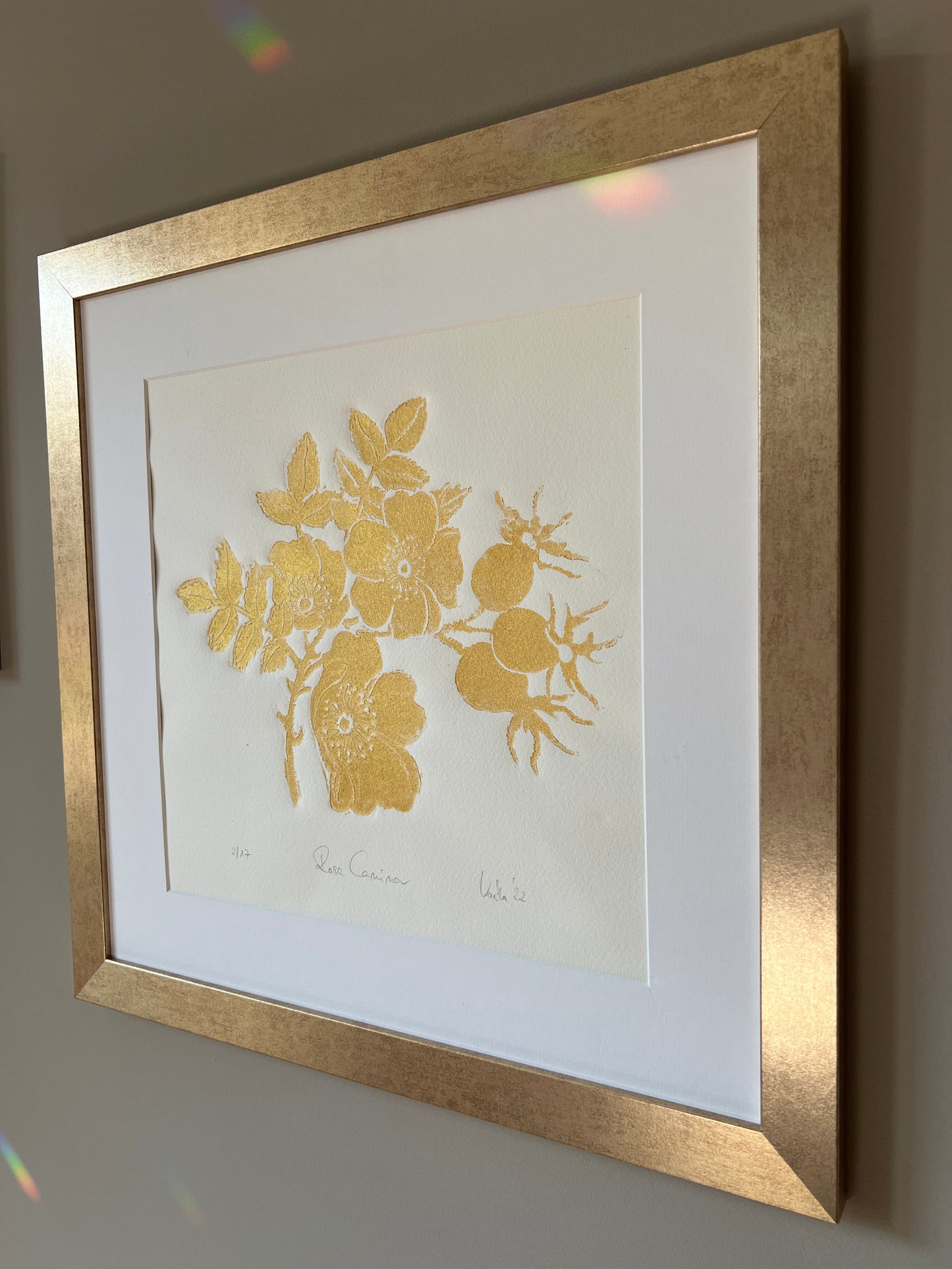 x HAGEBUTTE original print graphic gold relief print in a matt gold frame with passe-partout 50x50 cm