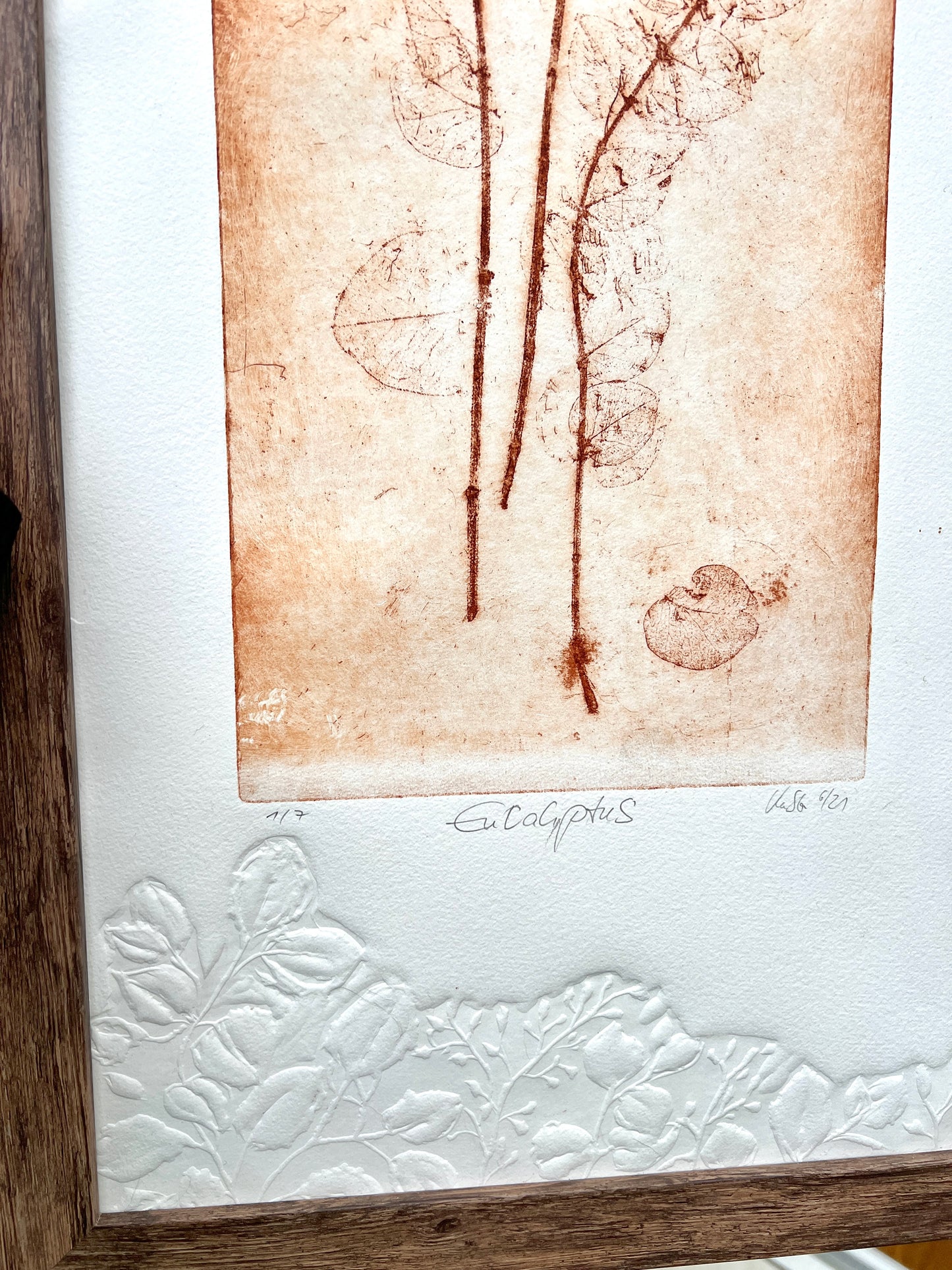 EUKALYPTUS Originaldruckgrafik Radierung Vernis mou mit Prägung, im Rahmen 35x75 cm