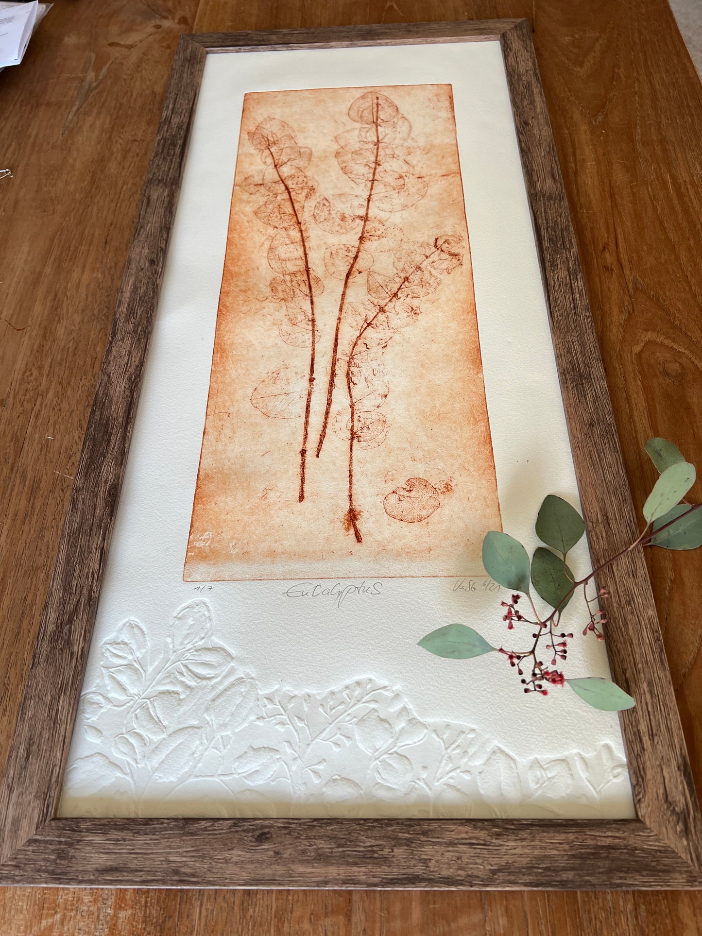 EUKALYPTUS Originaldruckgrafik Radierung Vernis mou mit Prägung, im Rahmen 35x75 cm