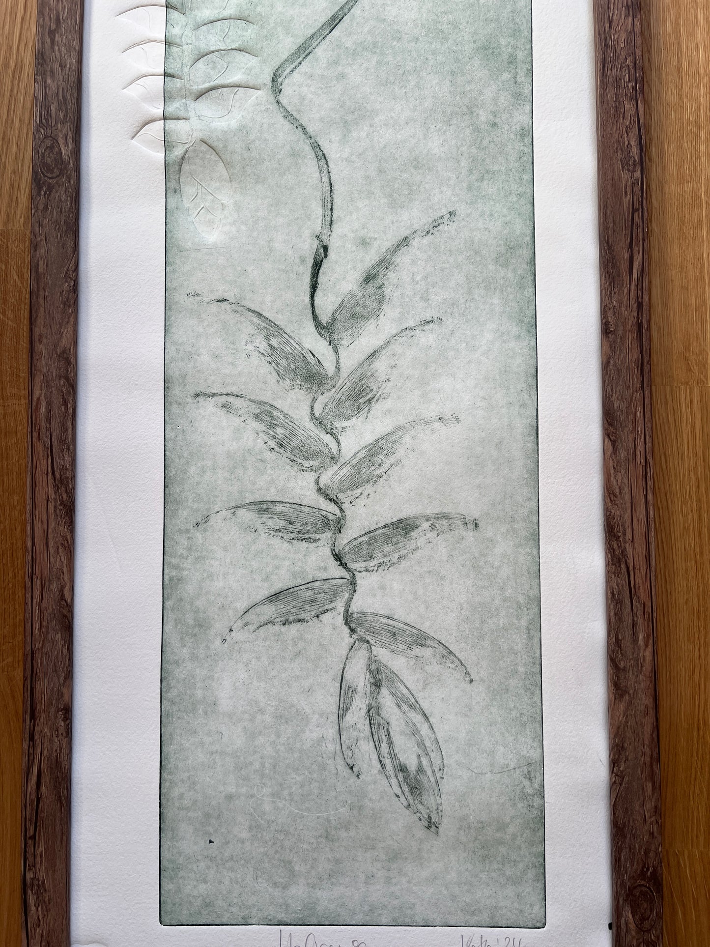 HELICONIA Originaldruckgrafik Radierung Vernis mou im Rahmen 35x100 cm mit zwei Blindprägungen