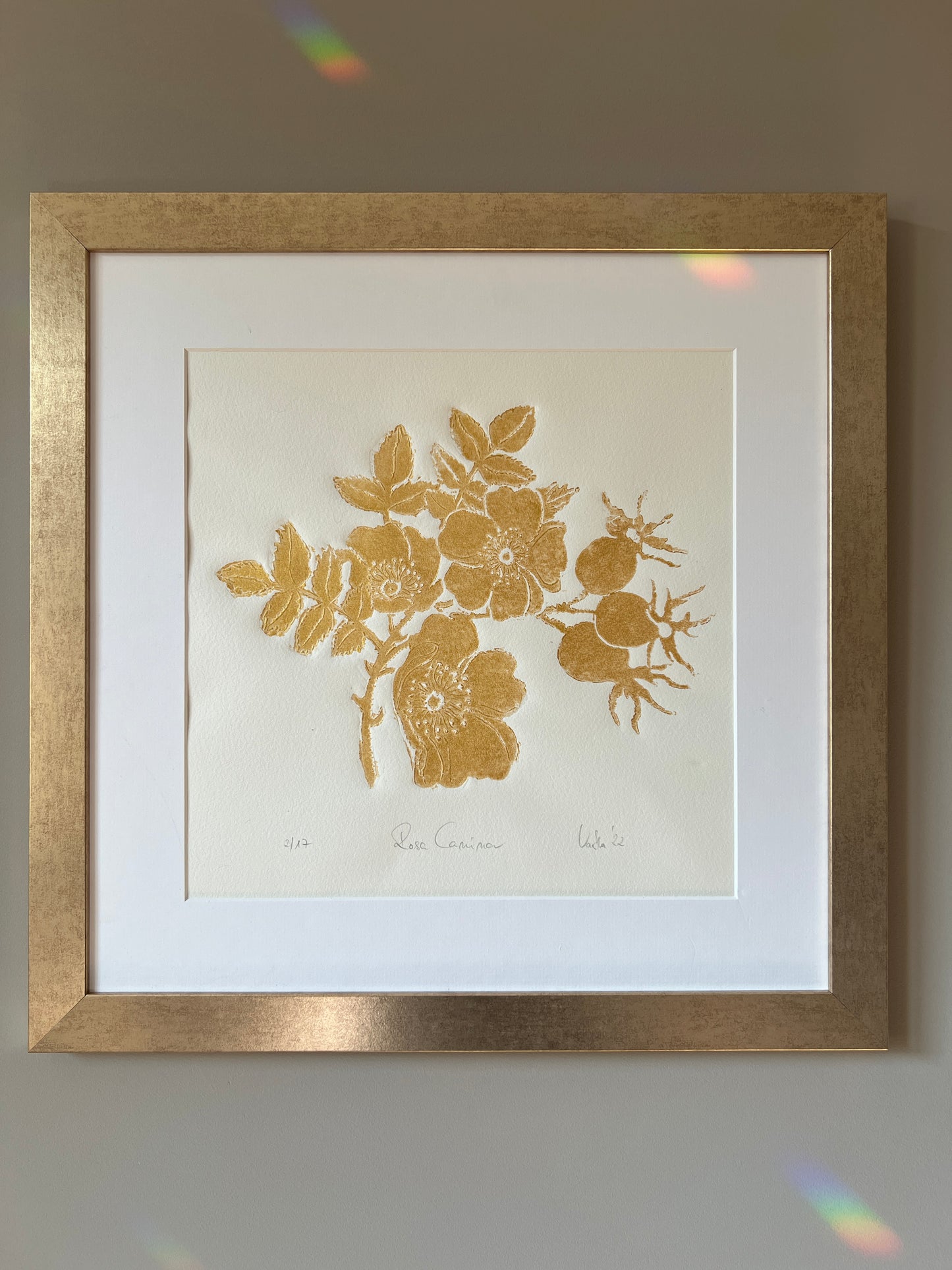 x HAGEBUTTE original print graphic gold relief print in a matt gold frame with passe-partout 50x50 cm