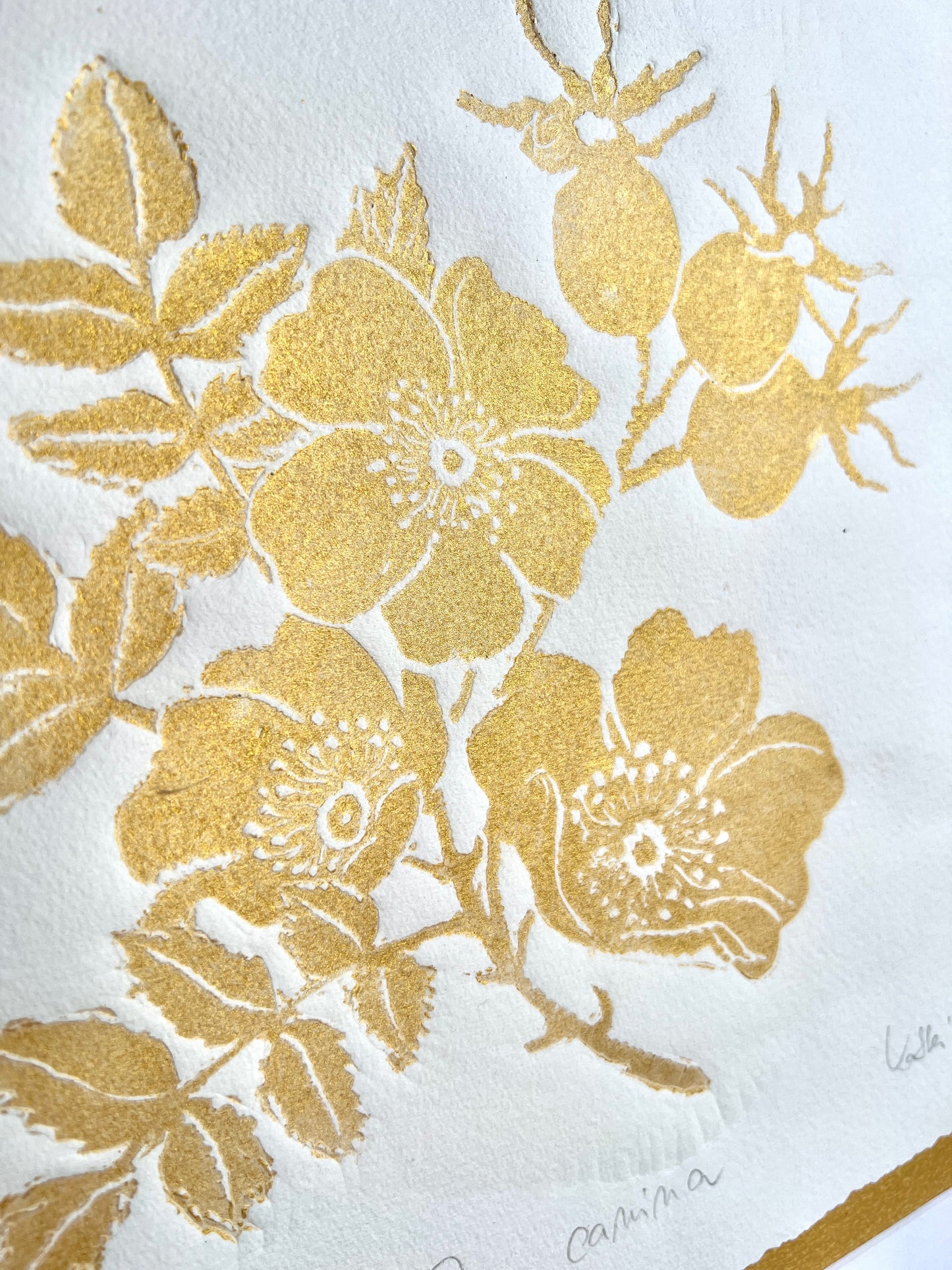 x HAGEBUTTE original print graphic gold relief print in a matt gold frame with passe-partout 50x50 cm