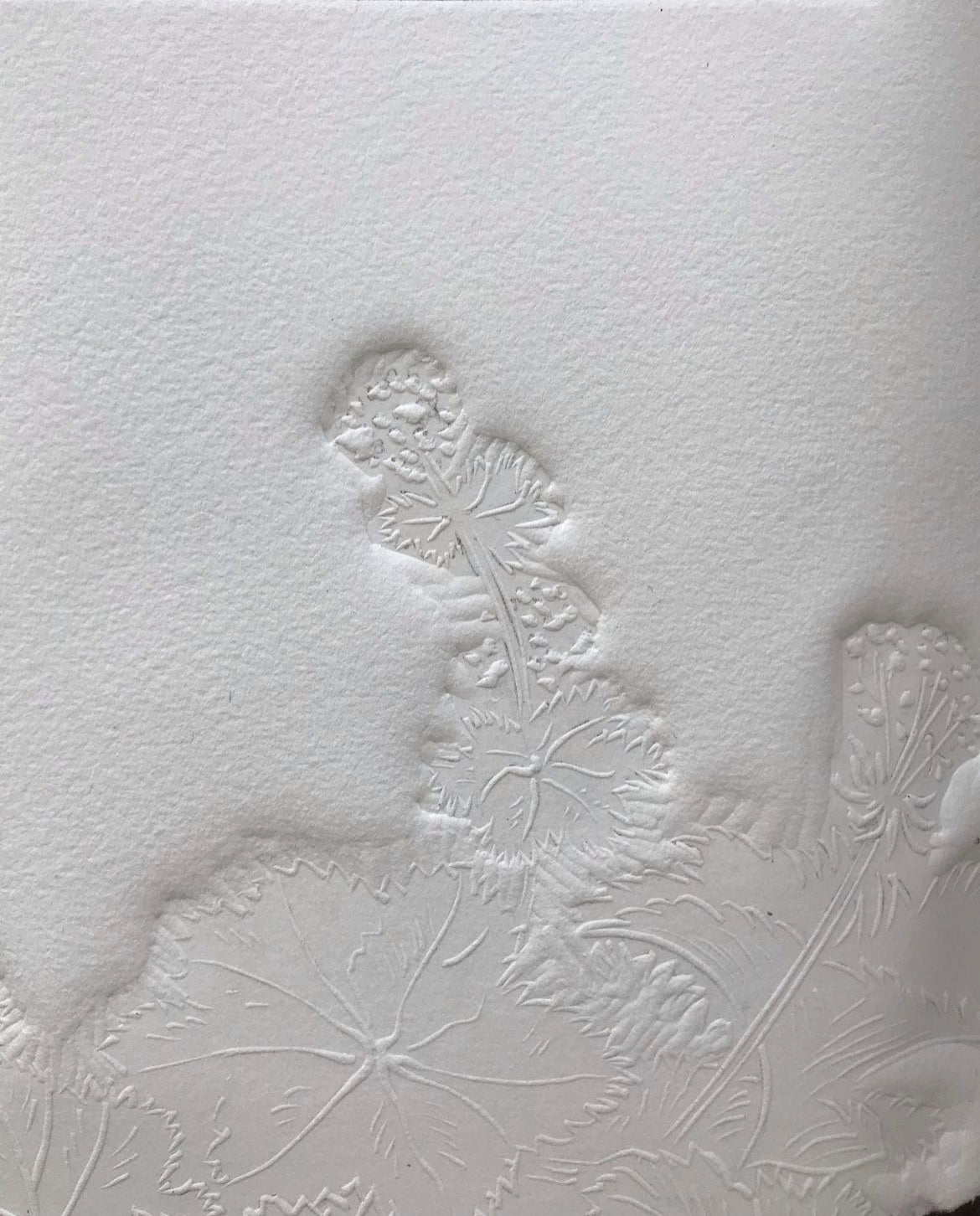 FRAUENMANTEL Originaldruckgrafik Radierung Vernis mou mit Prägung im Rahmen 20x40 cm