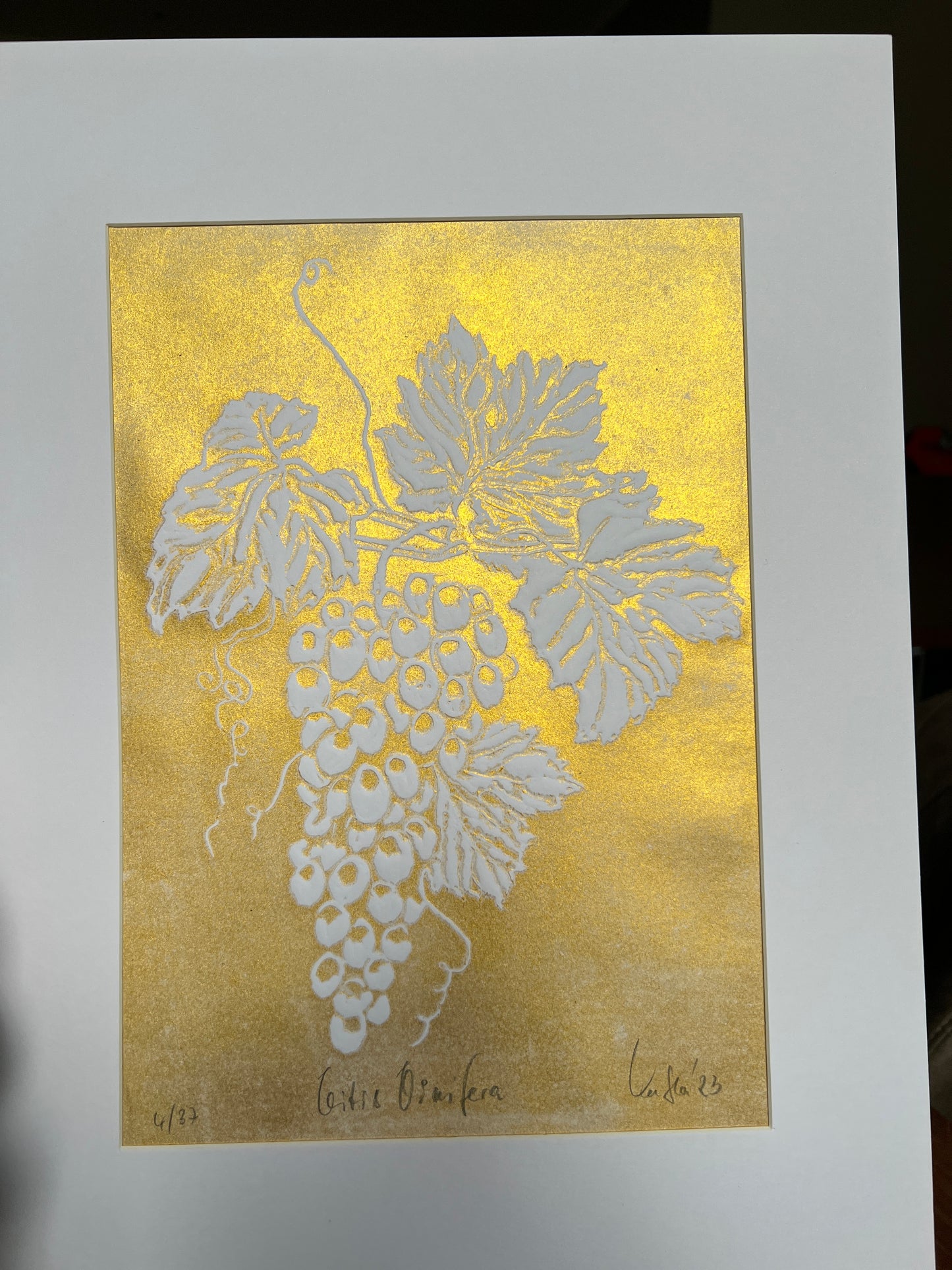 x WEINREBE Originaldruckgrafik Gold-Reliefdruck im Passepartout 30x40 cm