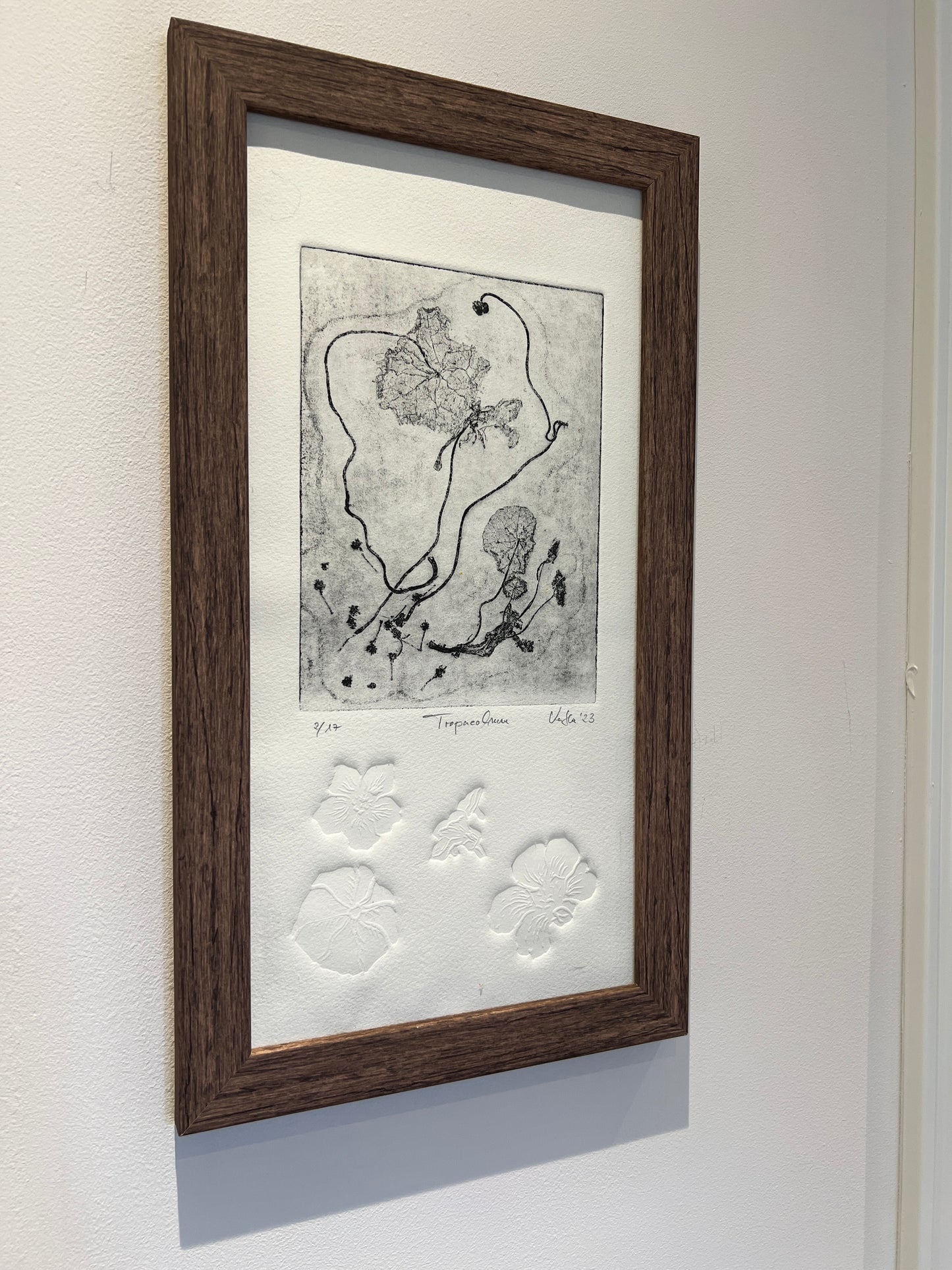 KAPUZINERKRESSE Origialdruckgrafik Radierung Vernis mou mit Prägung im Rahmen 20x40 cm