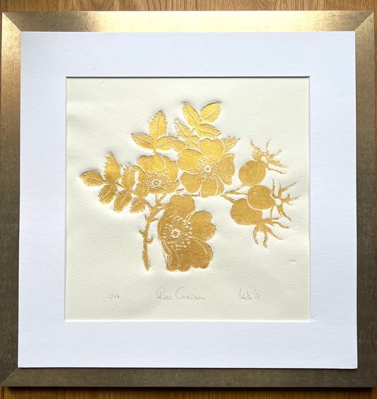 x HAGEBUTTE Originaldruckgrafik Gold-Reliefdruck im Rahmen mattgold mit Passepartout 50x50 cm