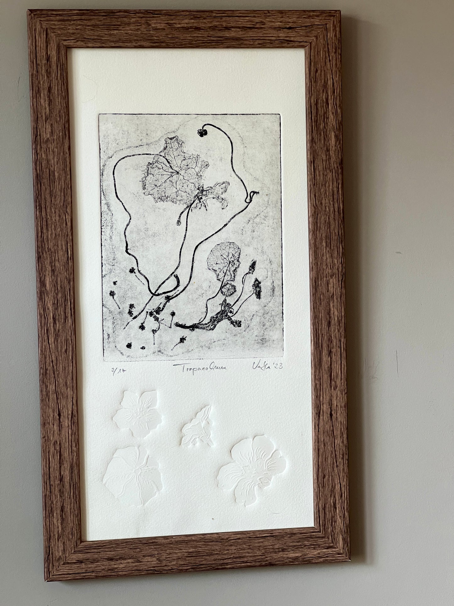 KAPUZINERKRESSE Origialdruckgrafik Radierung Vernis mou mit Prägung im Rahmen 20x40 cm