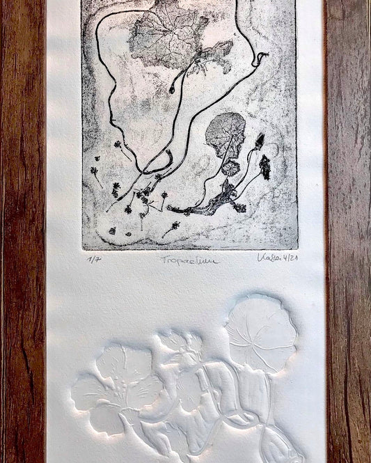 NATURSTRESS Impresión original grabado gráfico vernis mou con relieve en marco 20x40 cm