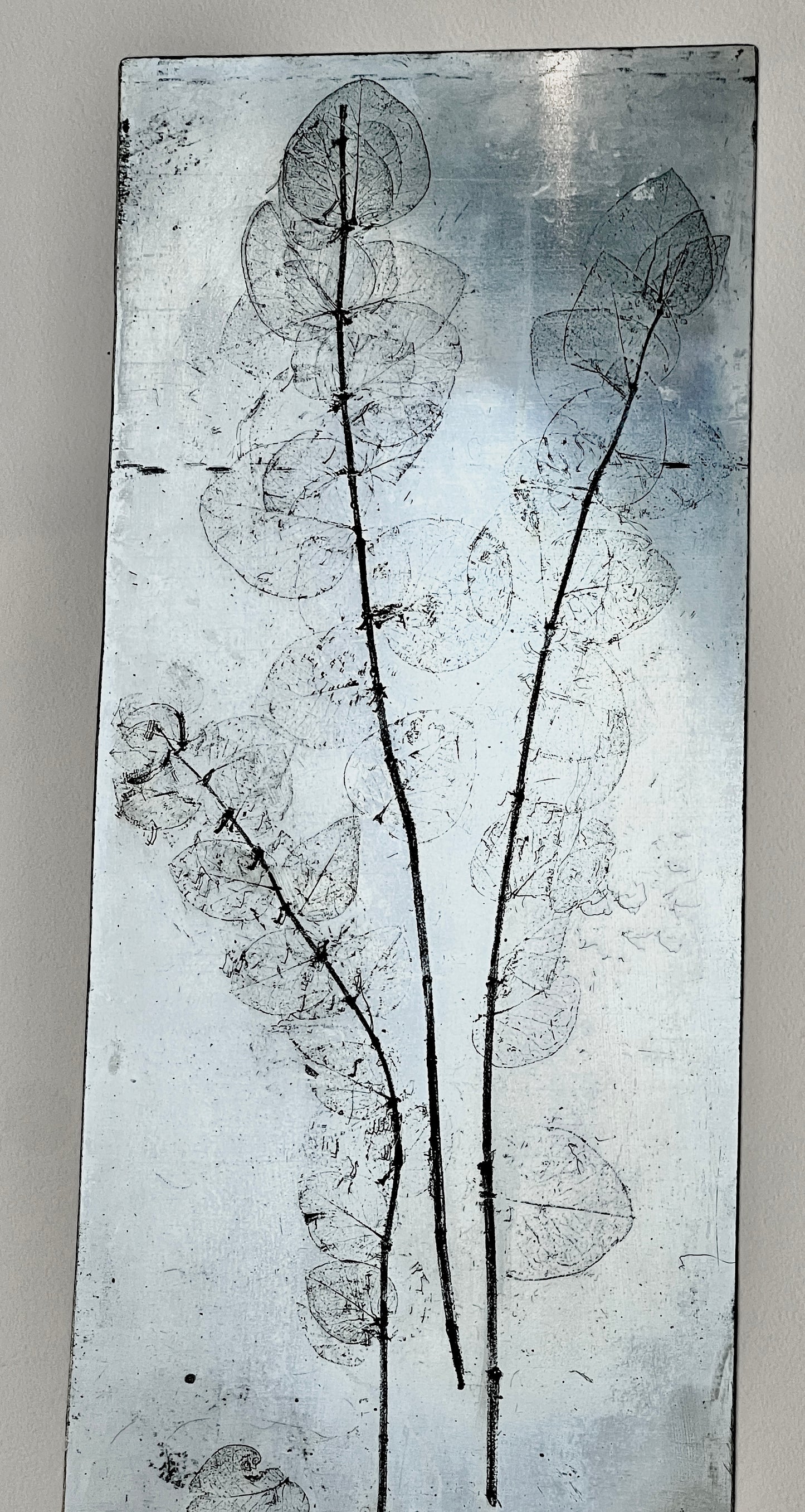 EUKALYPTUS Originaldruckgrafik Radierung Vernis mou mit Prägung, im Rahmen 35x75 cm