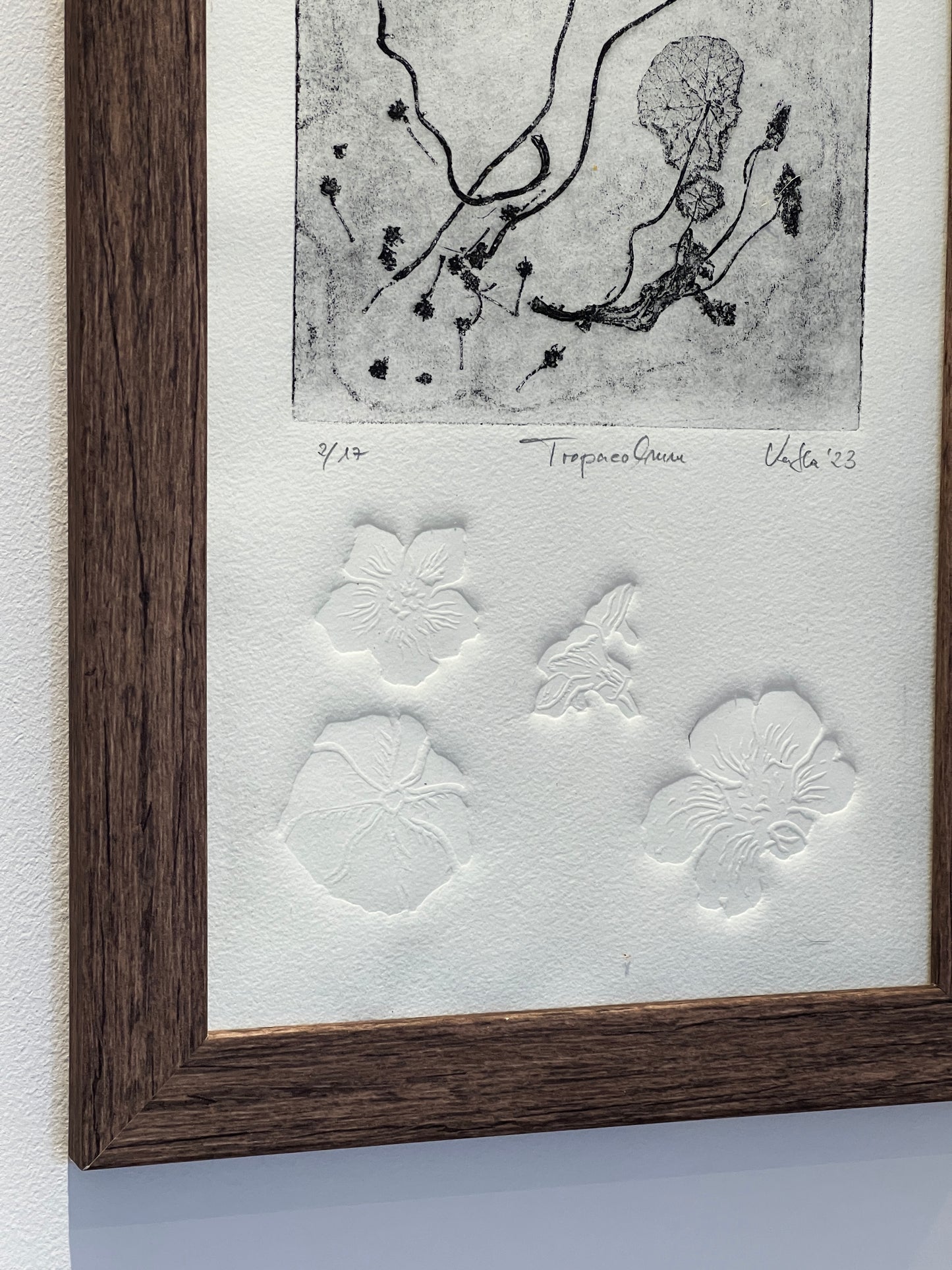 KAPUZINERKRESSE Origialdruckgrafik Radierung Vernis mou mit Prägung im Rahmen 20x40 cm