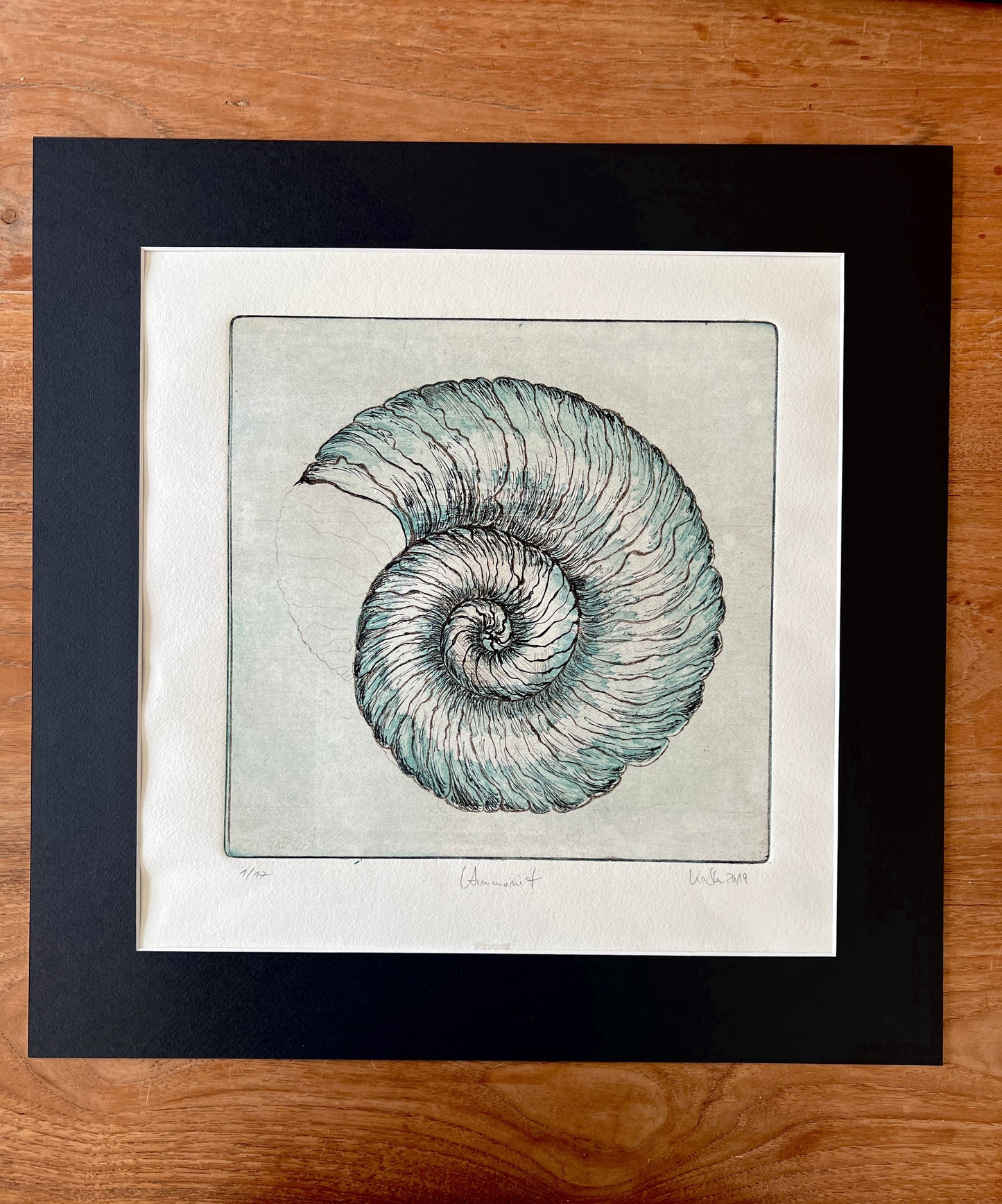 _AMMONIT Original print graphic etching aquatint 50x50 cm in frame with passepartout