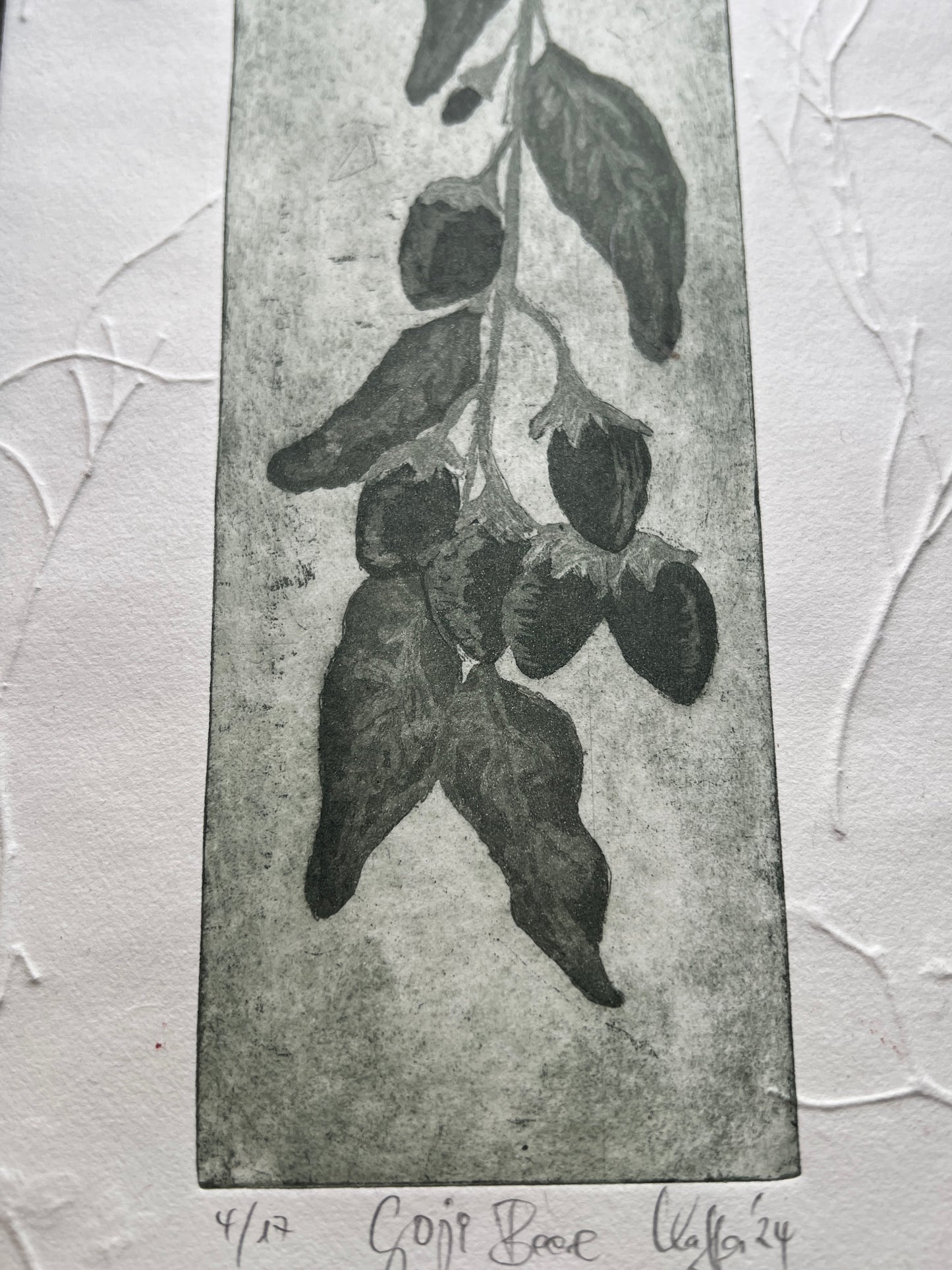 GOJI BERRY Originaldruckgrafik Radierung Aquatinta mit Prägung im Rahmen 20x40 cm