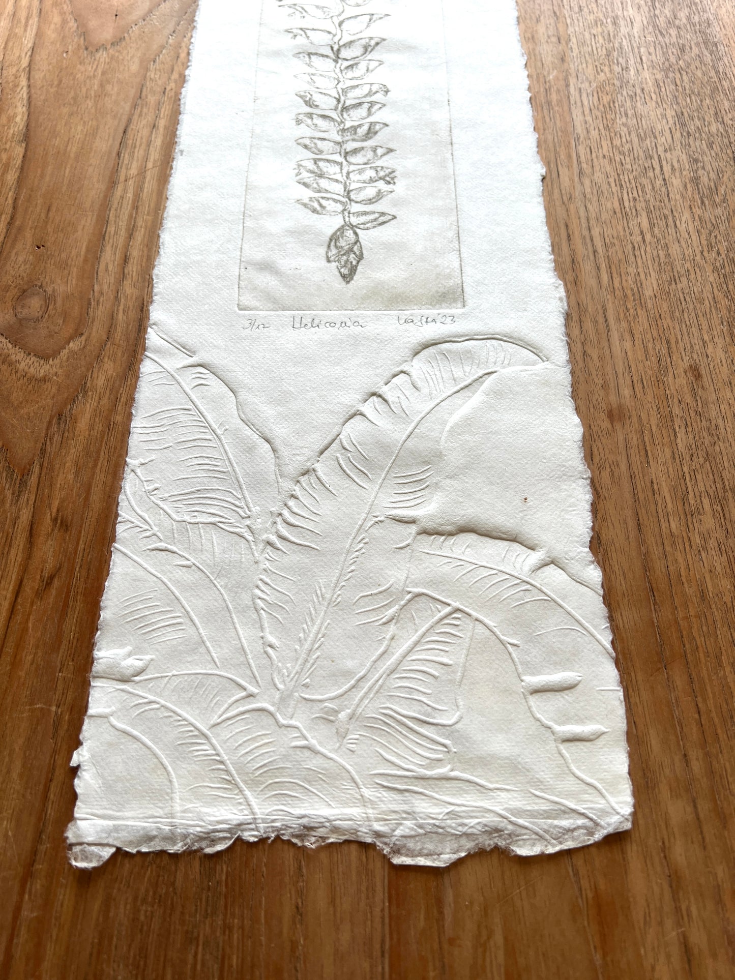 HELIKONIA Originaldruckgrafik Radierung mit Prägung 20x70 cm