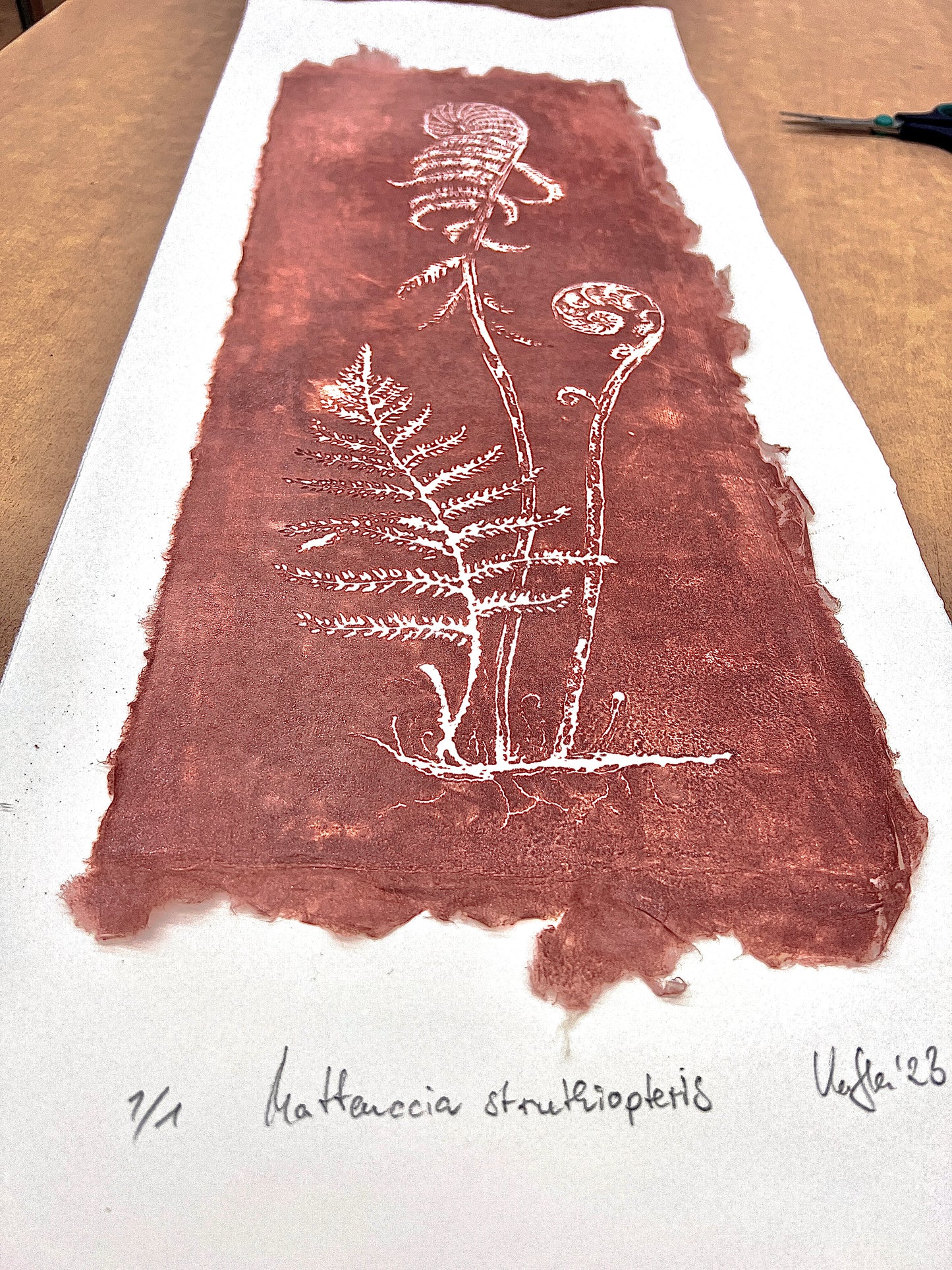HORSETAIL + FERN impresión gráfica original en relieve única