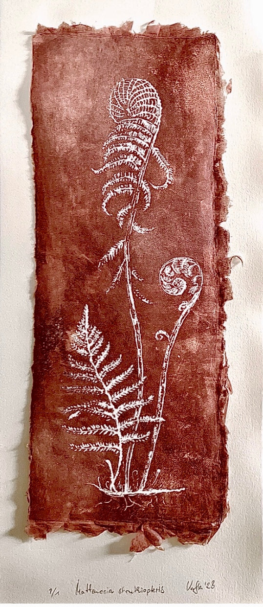 HORSETAIL + FERN impresión gráfica original en relieve única