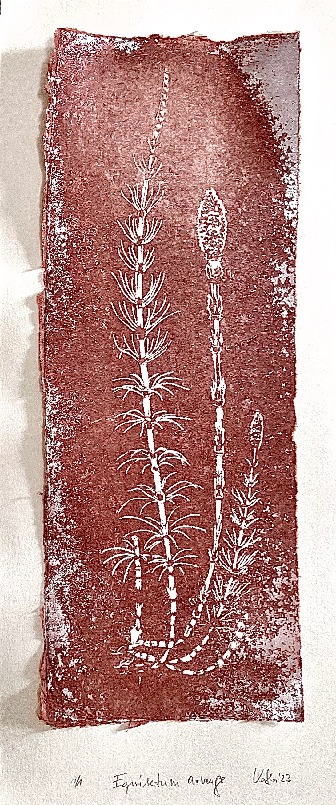 HORSETAIL + FERN impresión gráfica original en relieve única