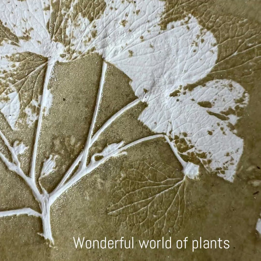 HYDRANGEA Impresión original monotipo gráfico impresión relieve 30x30 cm