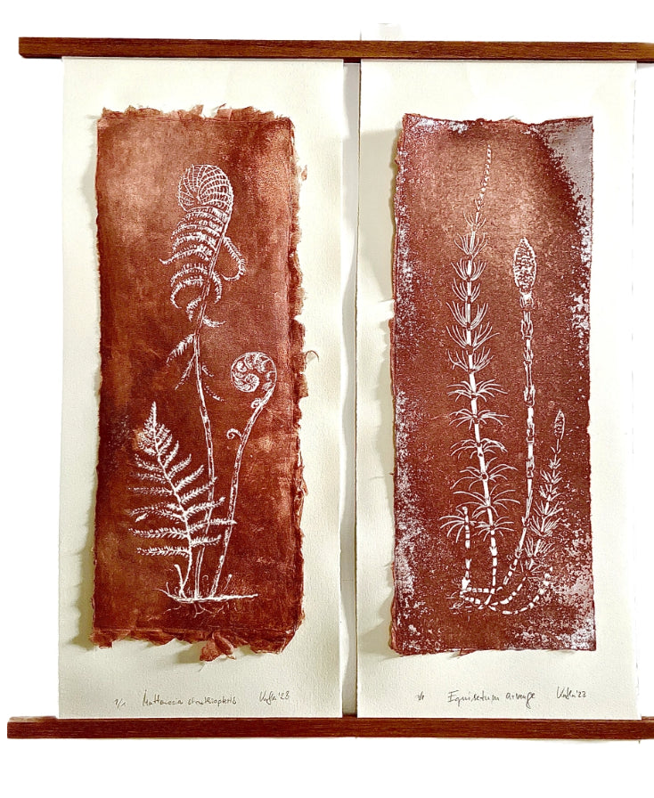 HORSETAIL + FERN impresión gráfica original en relieve única