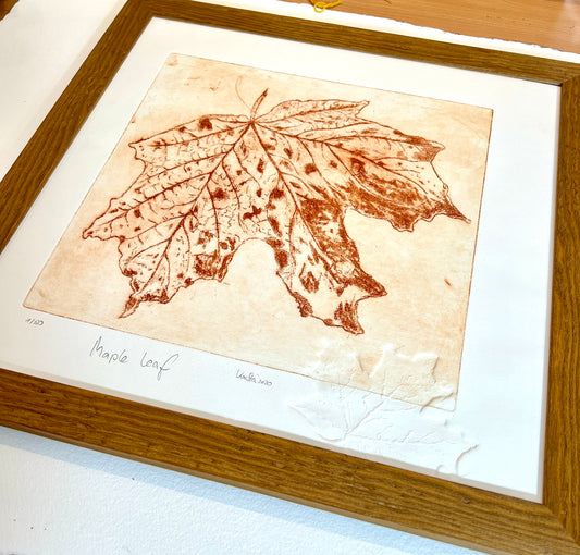 MAPLE original print etching aquatint with blind embossing in a real wood frame 40x40 cm
