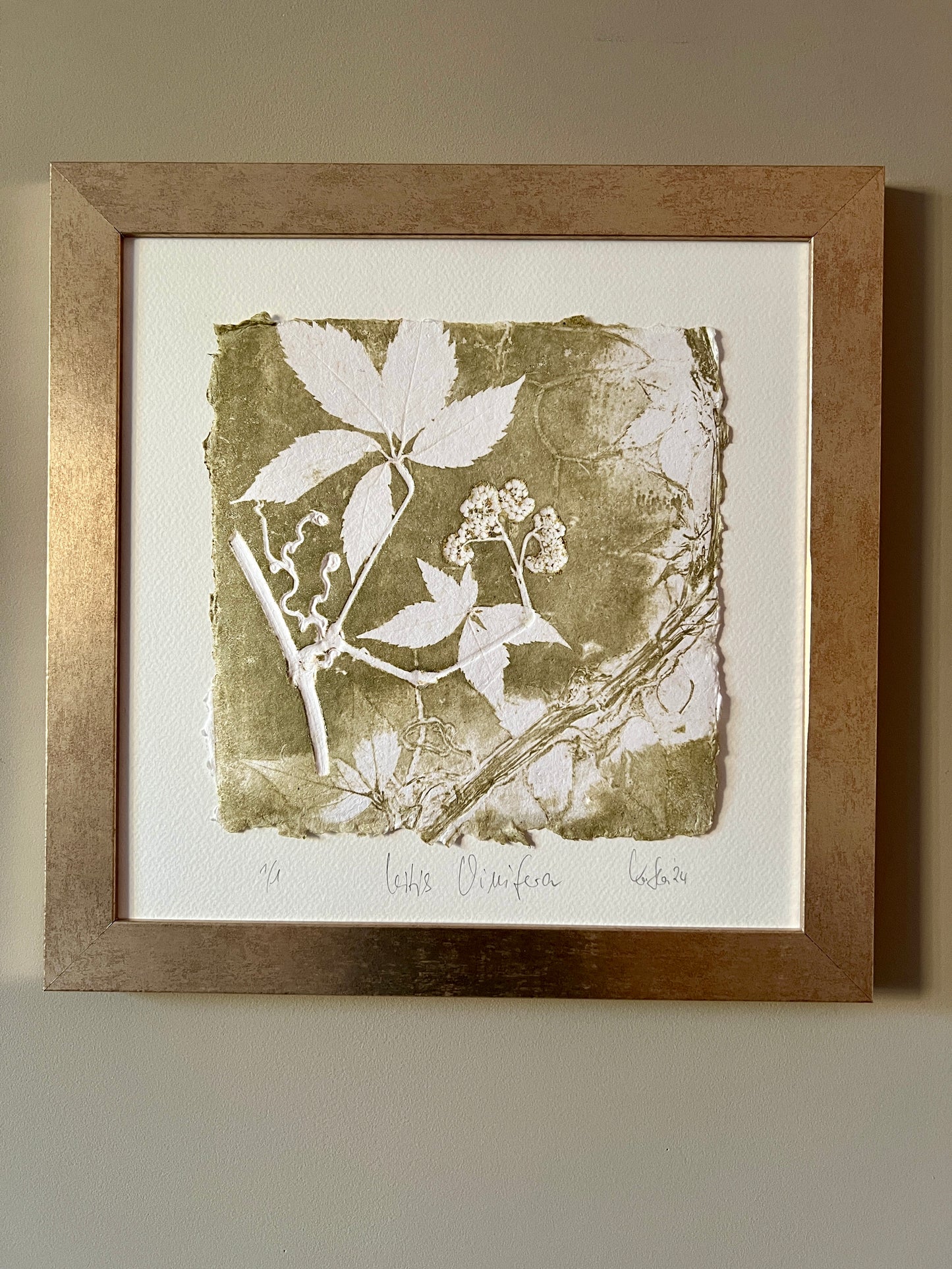 GRAPE Original print graphic monotype relief print 30x30 cm in frame matt gold