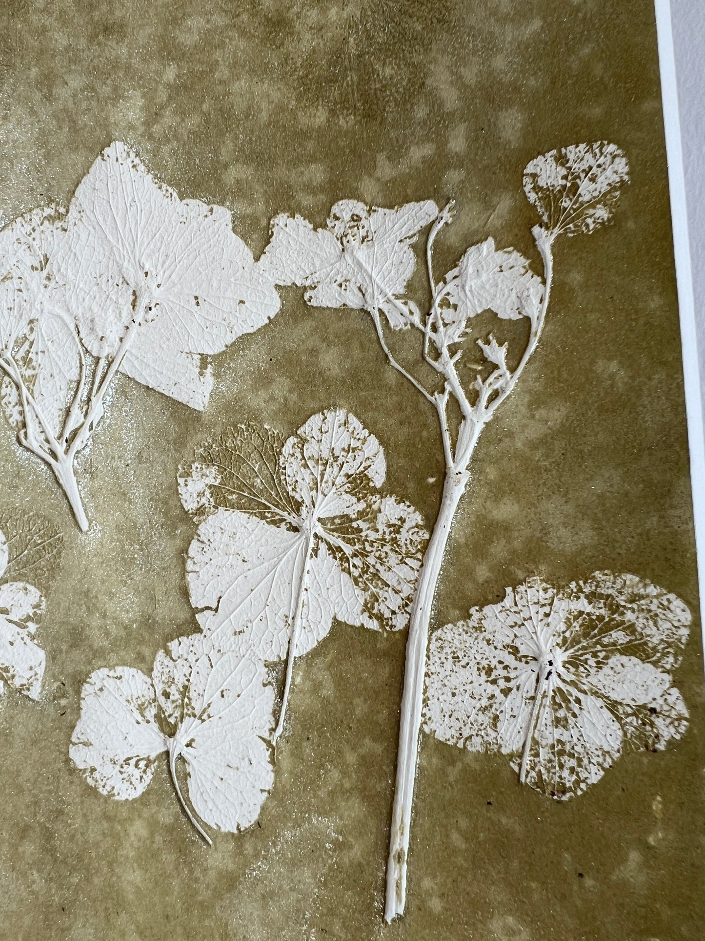 HORTENSIA original print graphic monotype relief print 30x30 cm