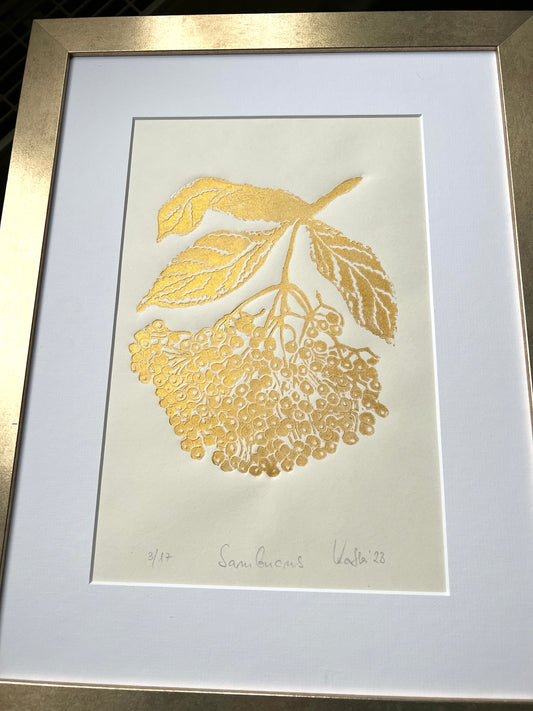 x ELDERBERRY original print graphic gold relief print in a passe-partout 30x40 cm