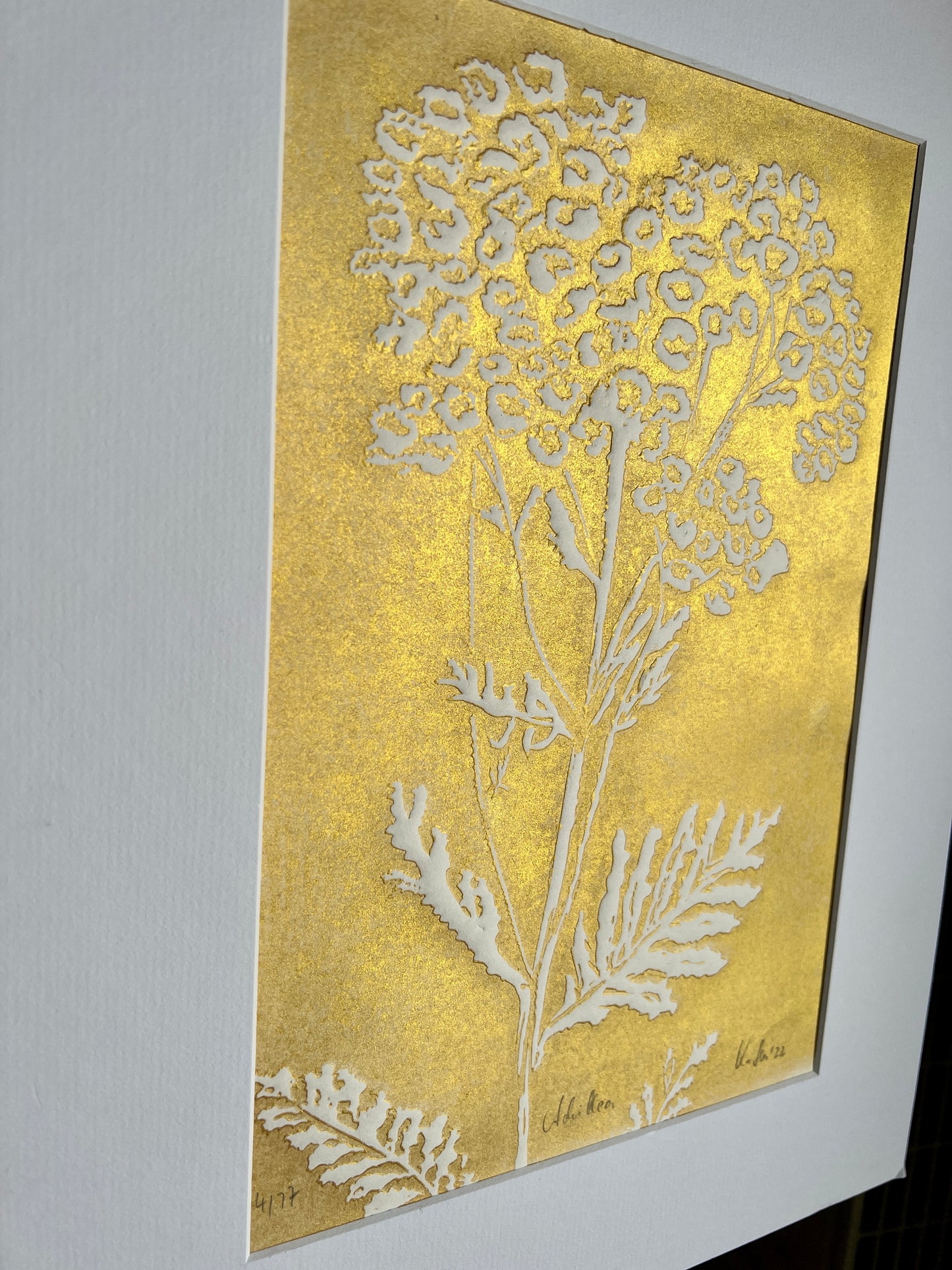 x Yarrow original print graphic gold relief print in passe-partout 30x40 cm