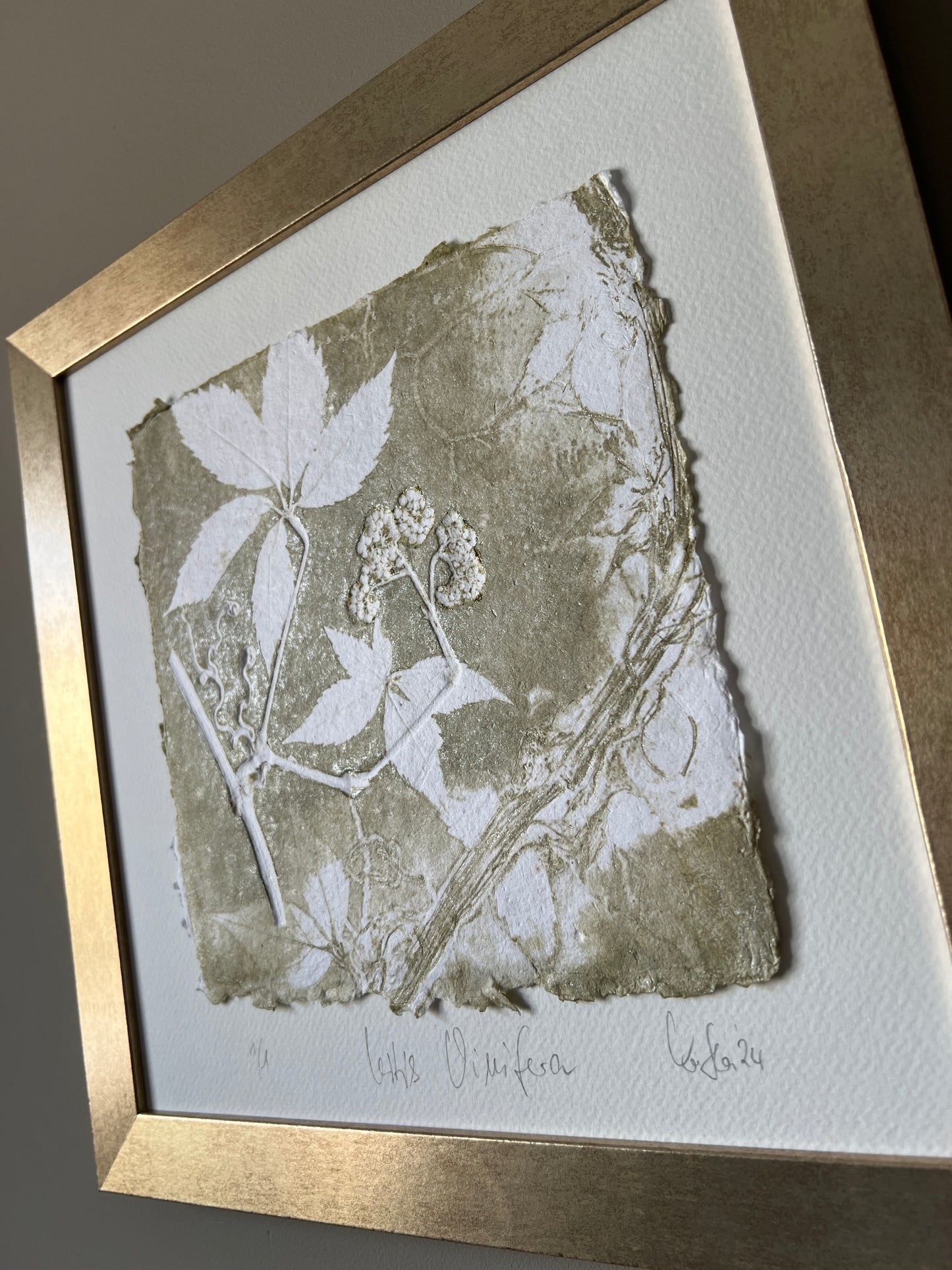 GRAPE Original print graphic monotype relief print 30x30 cm in frame matt gold