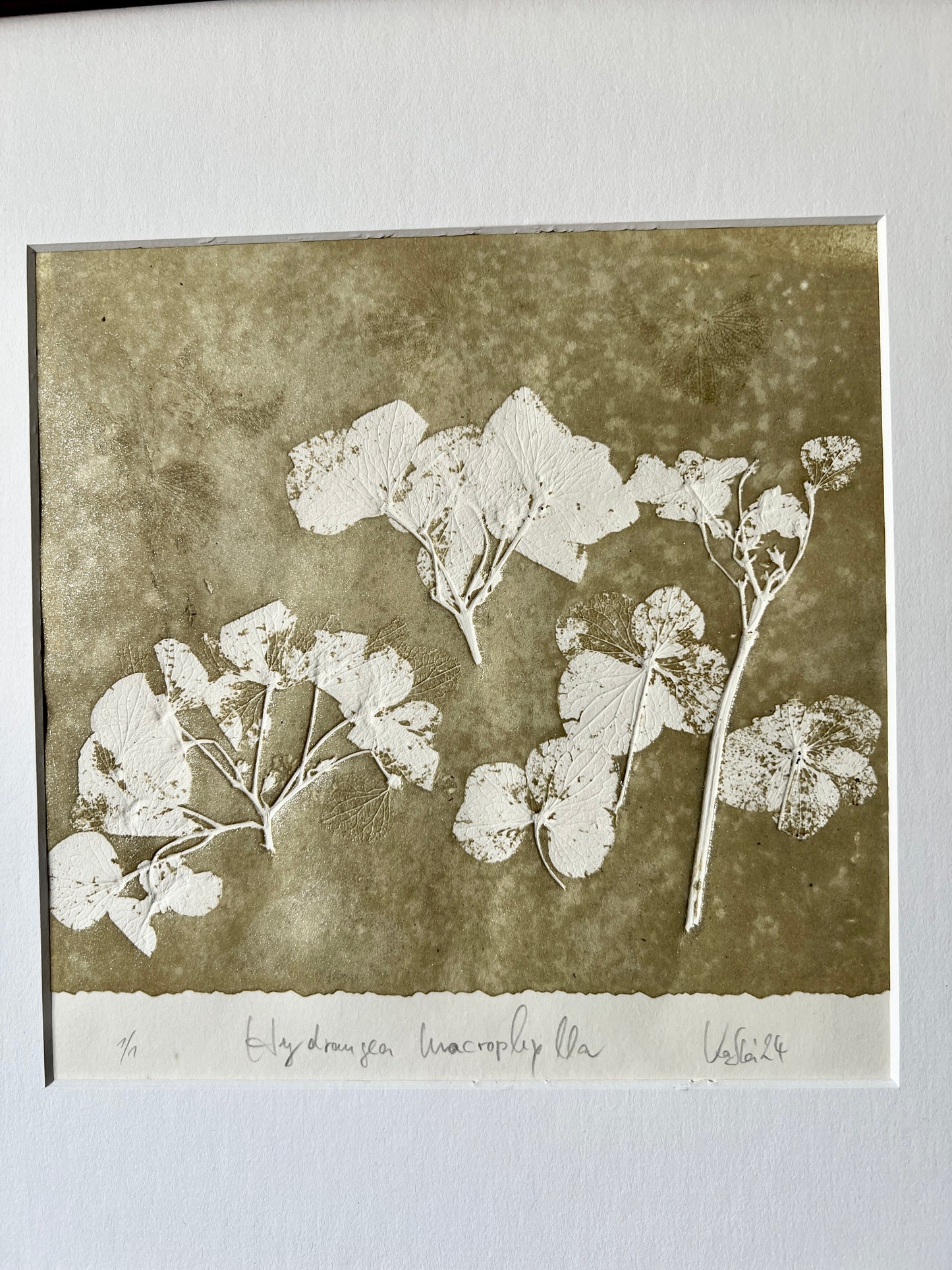 HORTENSIA original print graphic monotype relief print 30x30 cm