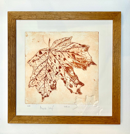 MAPLE - AHORN Originaldruckgrafik Radierung Aquatinta mit Blindprägung im Echtholzrahmen 40x40 cm