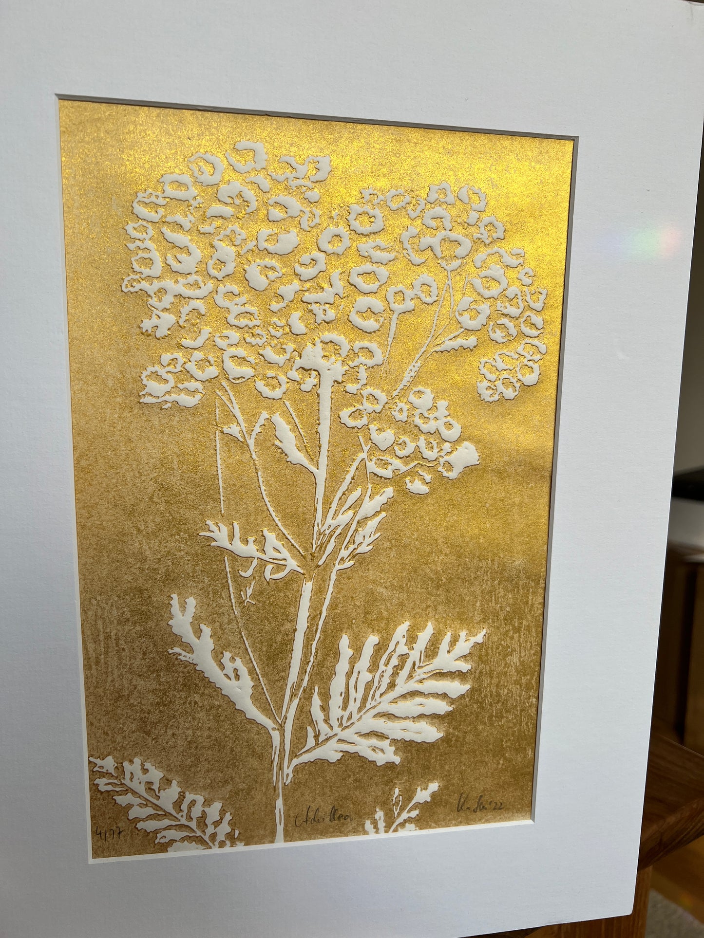 x Yarrow original print graphic gold relief print in passe-partout 30x40 cm