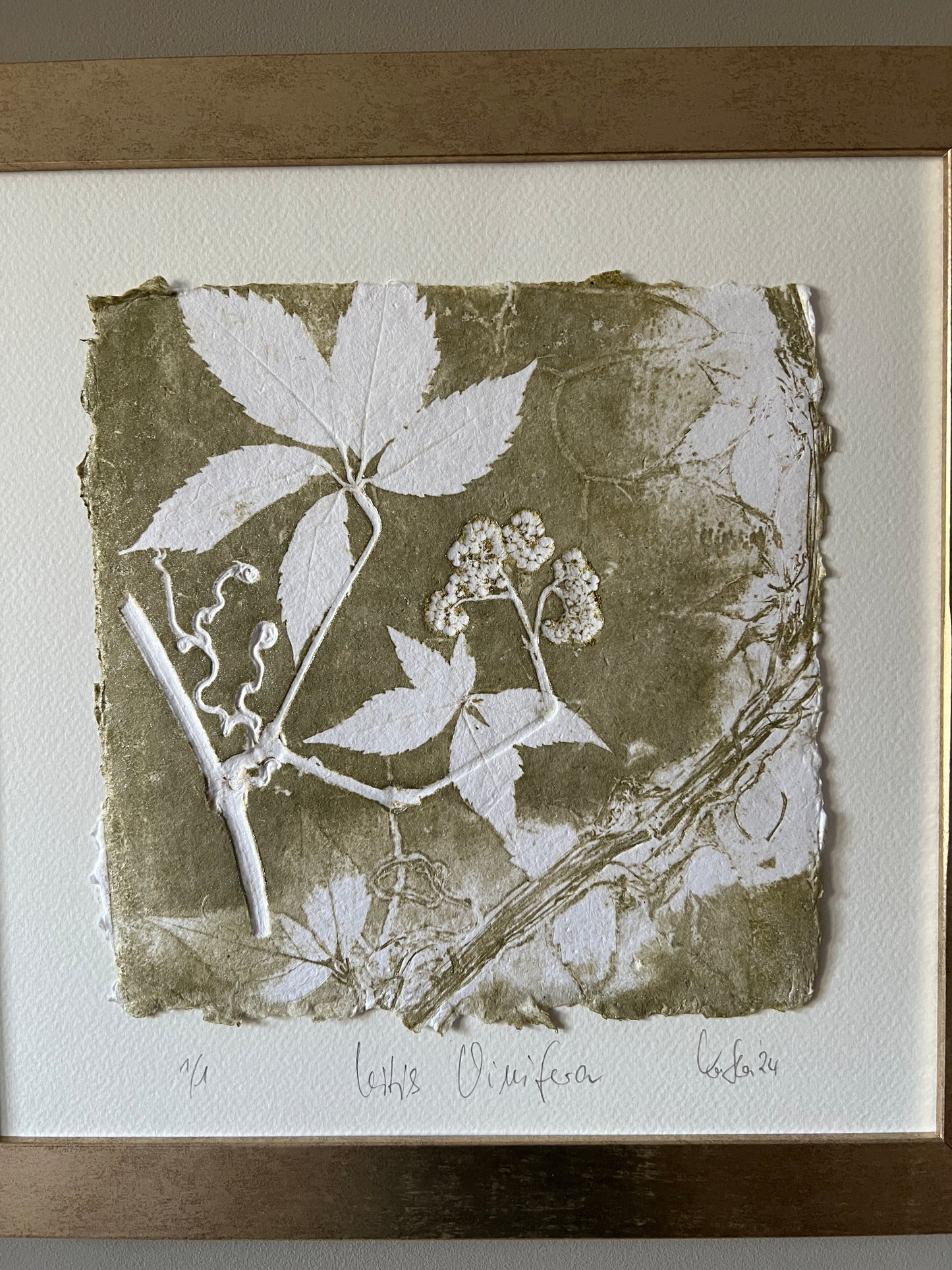 GRAPE Original print graphic monotype relief print 30x30 cm in frame matt gold