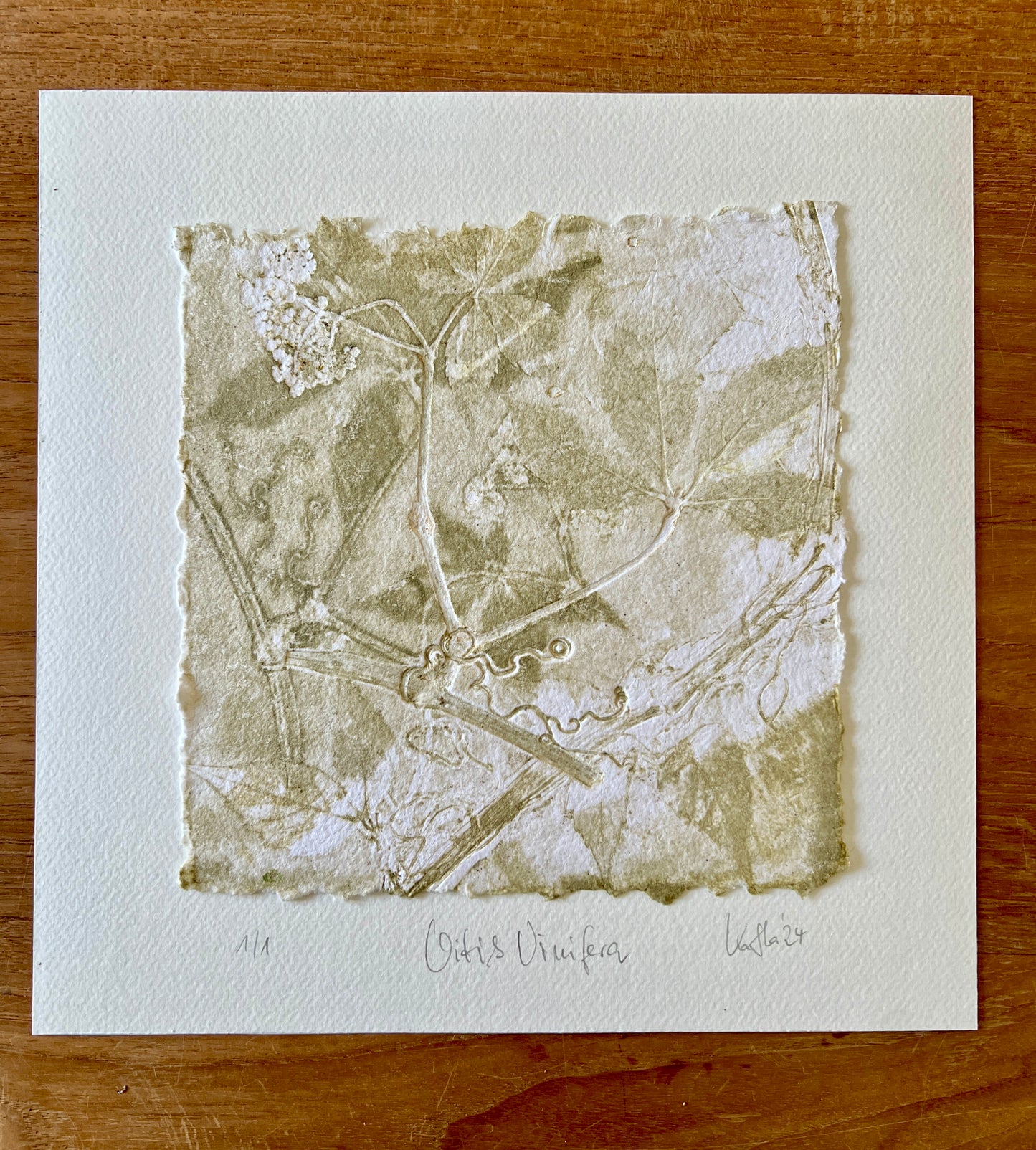 GRAPE Original print graphic monotype relief print 30x30 cm in frame matt gold