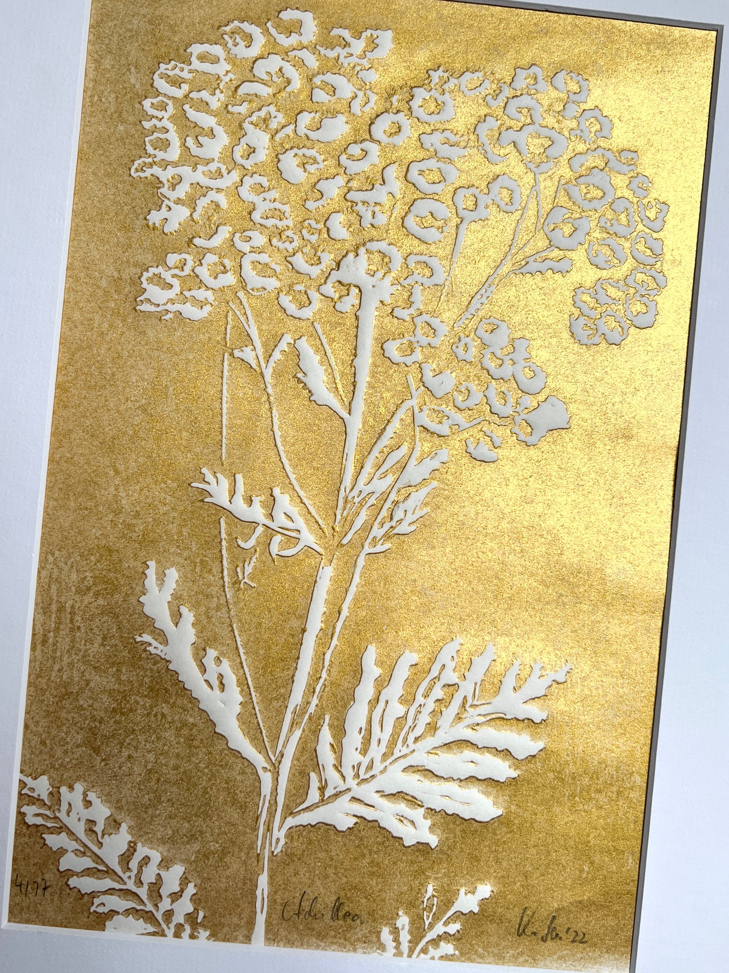 x Yarrow original print graphic gold relief print in passe-partout 30x40 cm