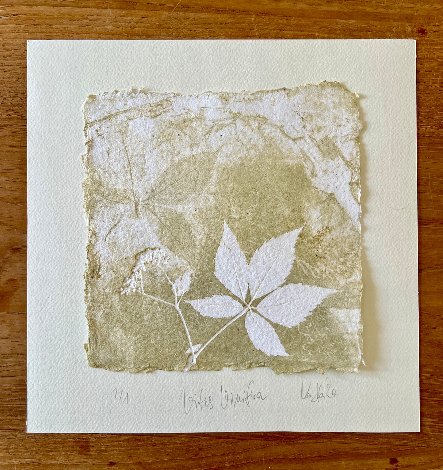 GRAPE Original print graphic monotype relief print 30x30 cm in frame matt gold