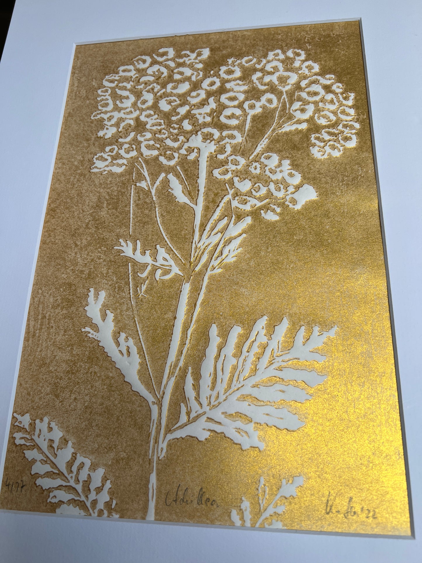 x Yarrow original print graphic gold relief print in passe-partout 30x40 cm